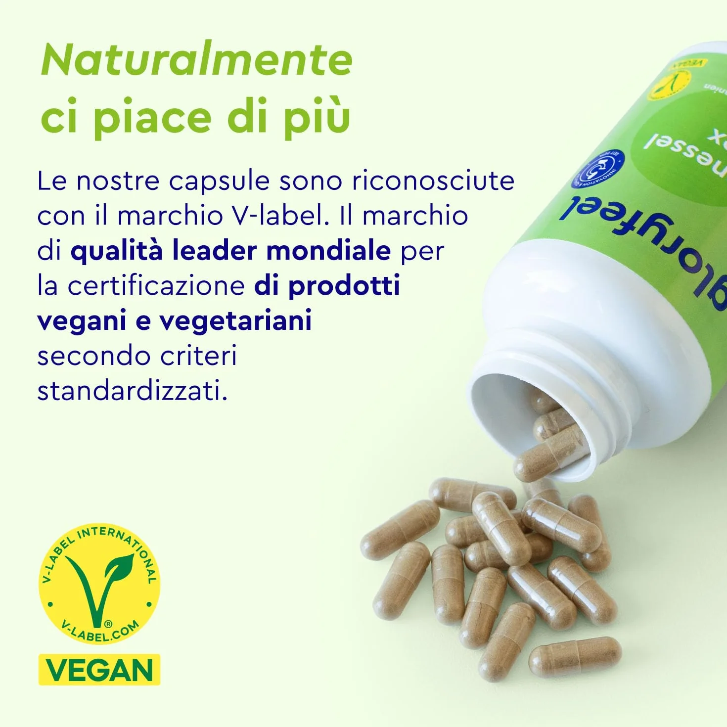 Ortica Capsule Alto Dosaggio 10:1 – Estratto di Foglie di Ortica con Ippocastano, Vite Rossa e Vitamina C – 120 Capsule Vegan – Rame e Manganese