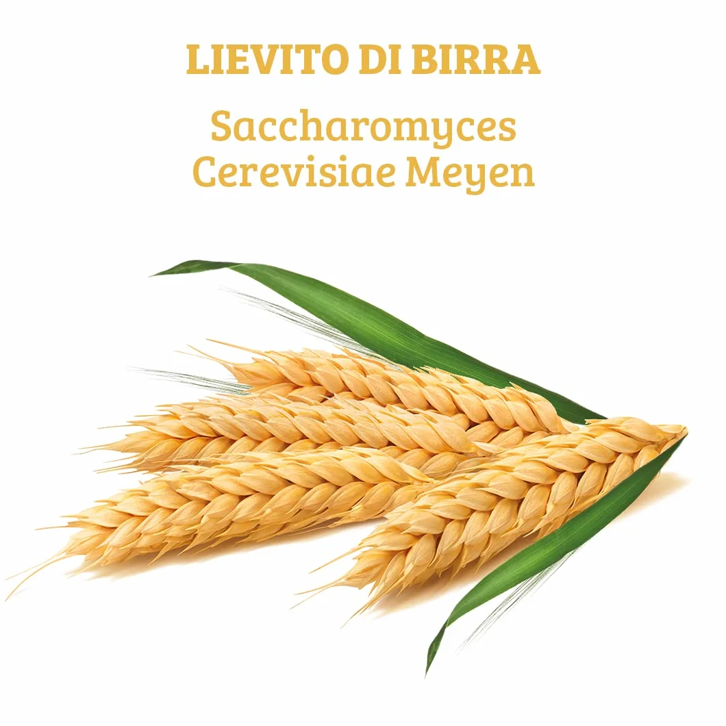 Colours of Life Lievito di Birra Puro Integratore 120 compresse Vegano