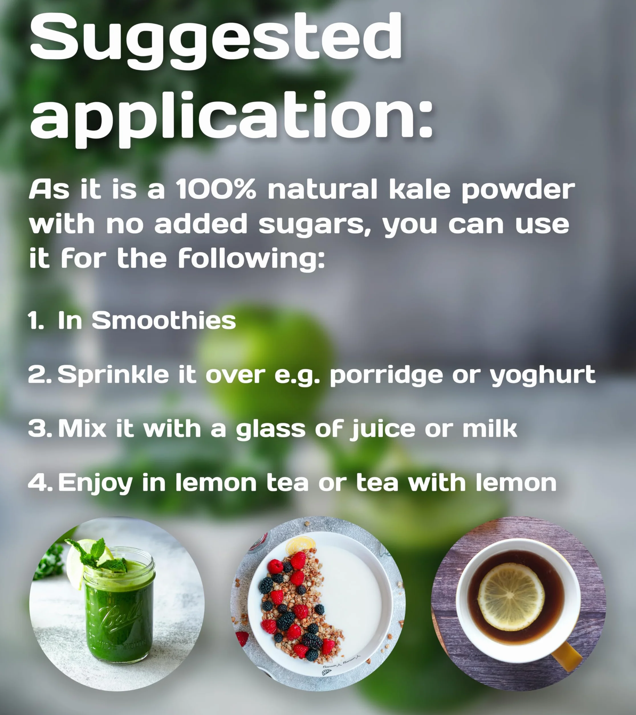 Pure Superfood Bioactive Kale Powder - Cavolo Liofilizzato, Alto Contenuto di Proteine, Kalzium, Vitamina C e K, 25 x 2g
