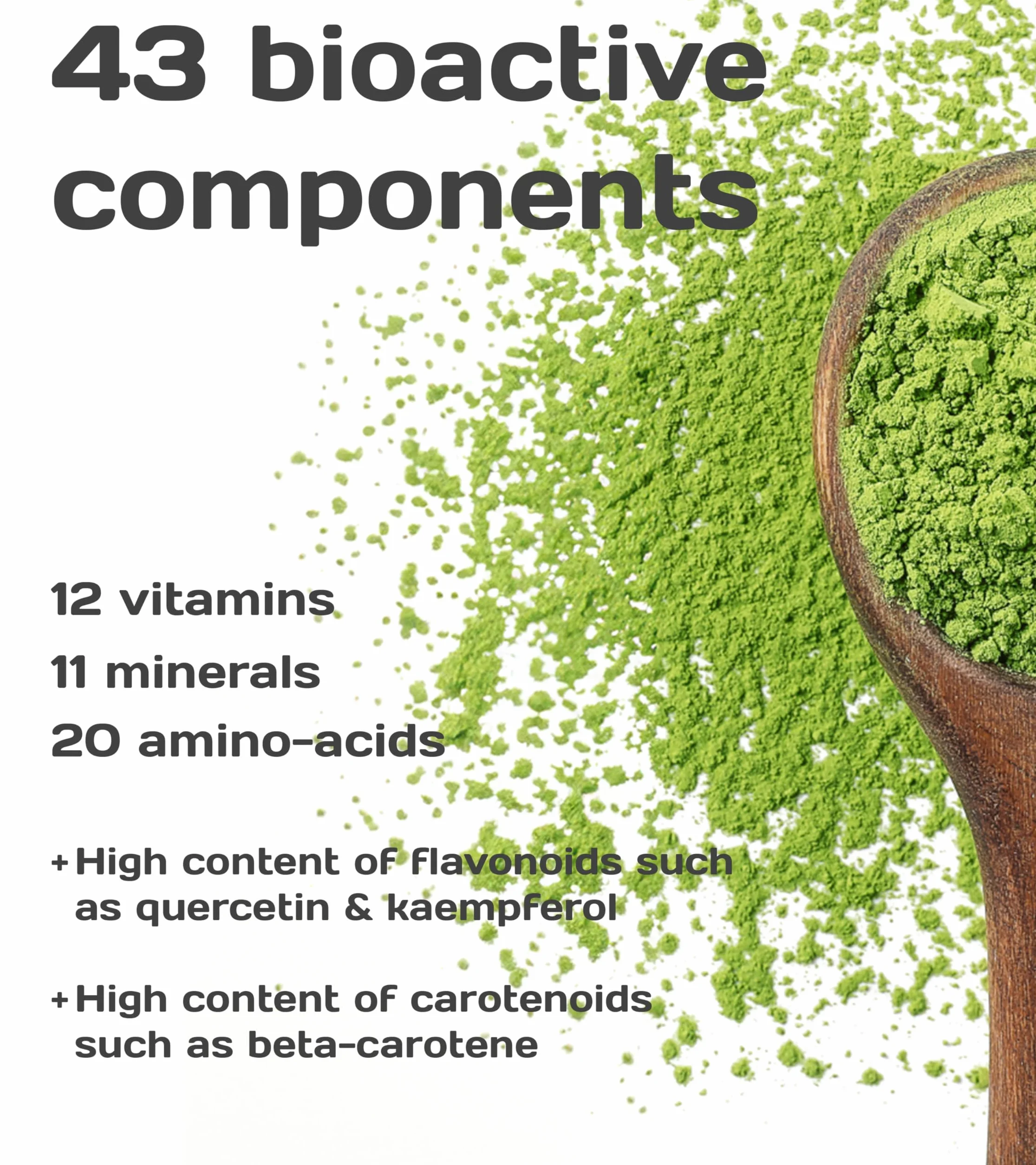 Pure Superfood Bioactive Kale Powder - Cavolo Liofilizzato, Alto Contenuto di Proteine, Kalzium, Vitamina C e K, 25 x 2g