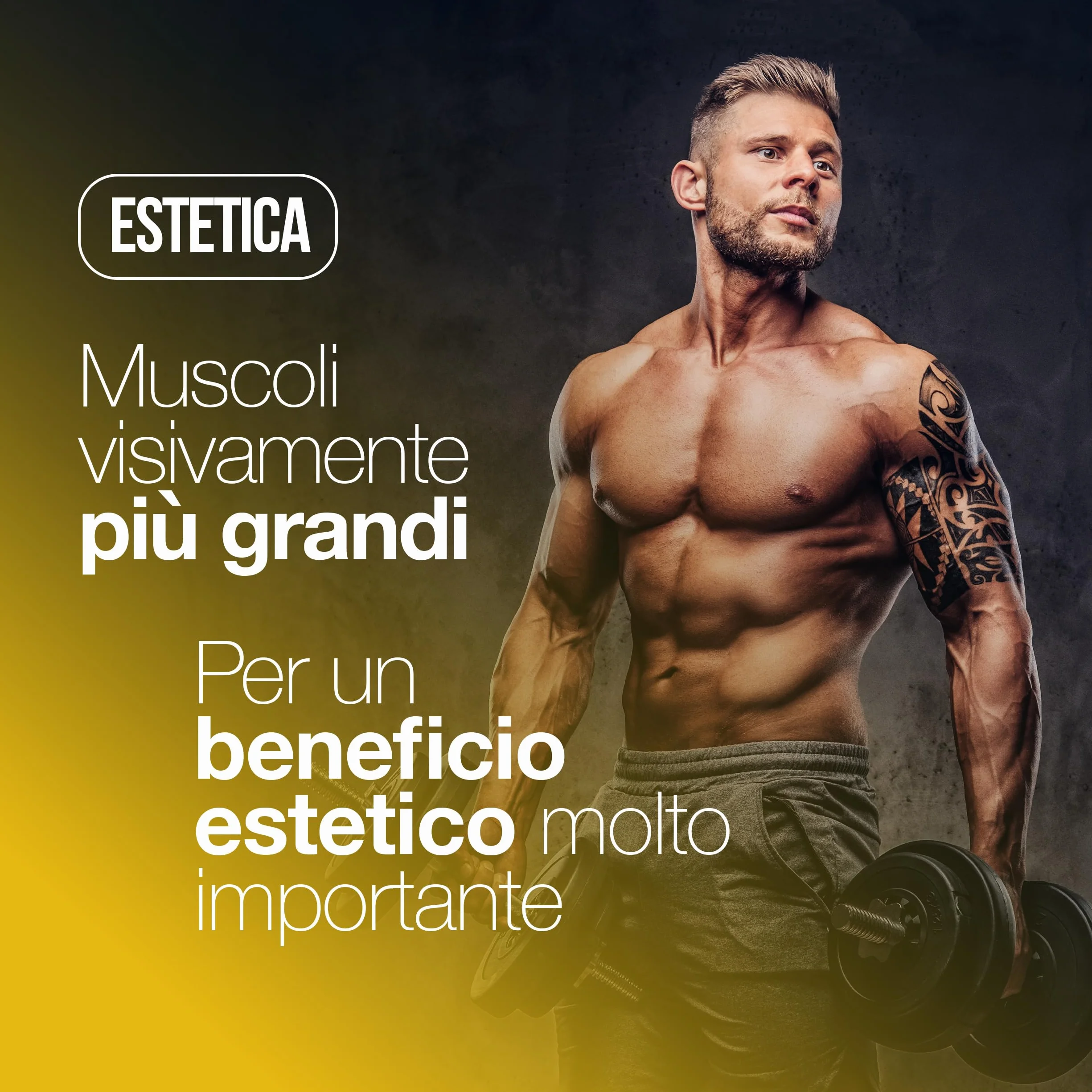 Creatina Monoidrata 120 Compresse 3000mg per dose, Creatine Monohydrate per Massa Muscolare, Pre e Post Workout, Made in Italy, Vegan