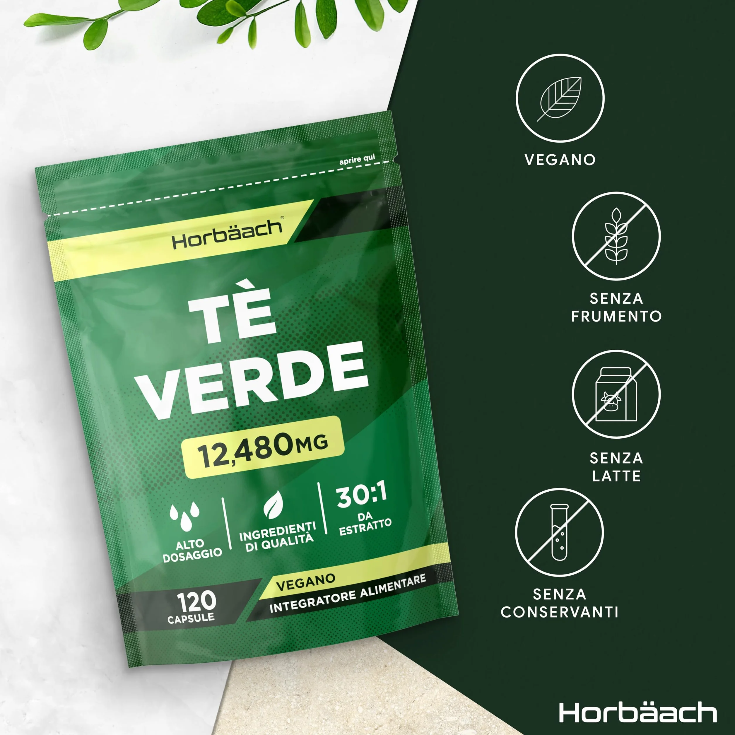 Te Verde Capsule 12480mg | Green Tea estratto ad alta resistenza | 120 capsule in polvere | Vegano e vegetariano | di Horbaach