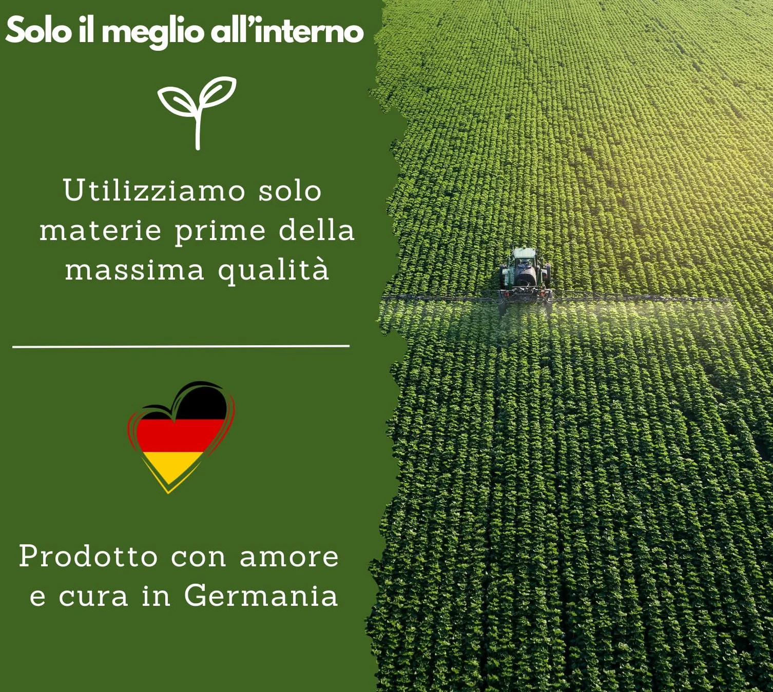 Vitamina A in gocce di EXVital – 5000 UI (1500 µg) per dose giornaliera, 50 ml = 1700 gocce, testata in laboratorio, retinolo ad alto dosaggio – vegana – vitamina A liquida