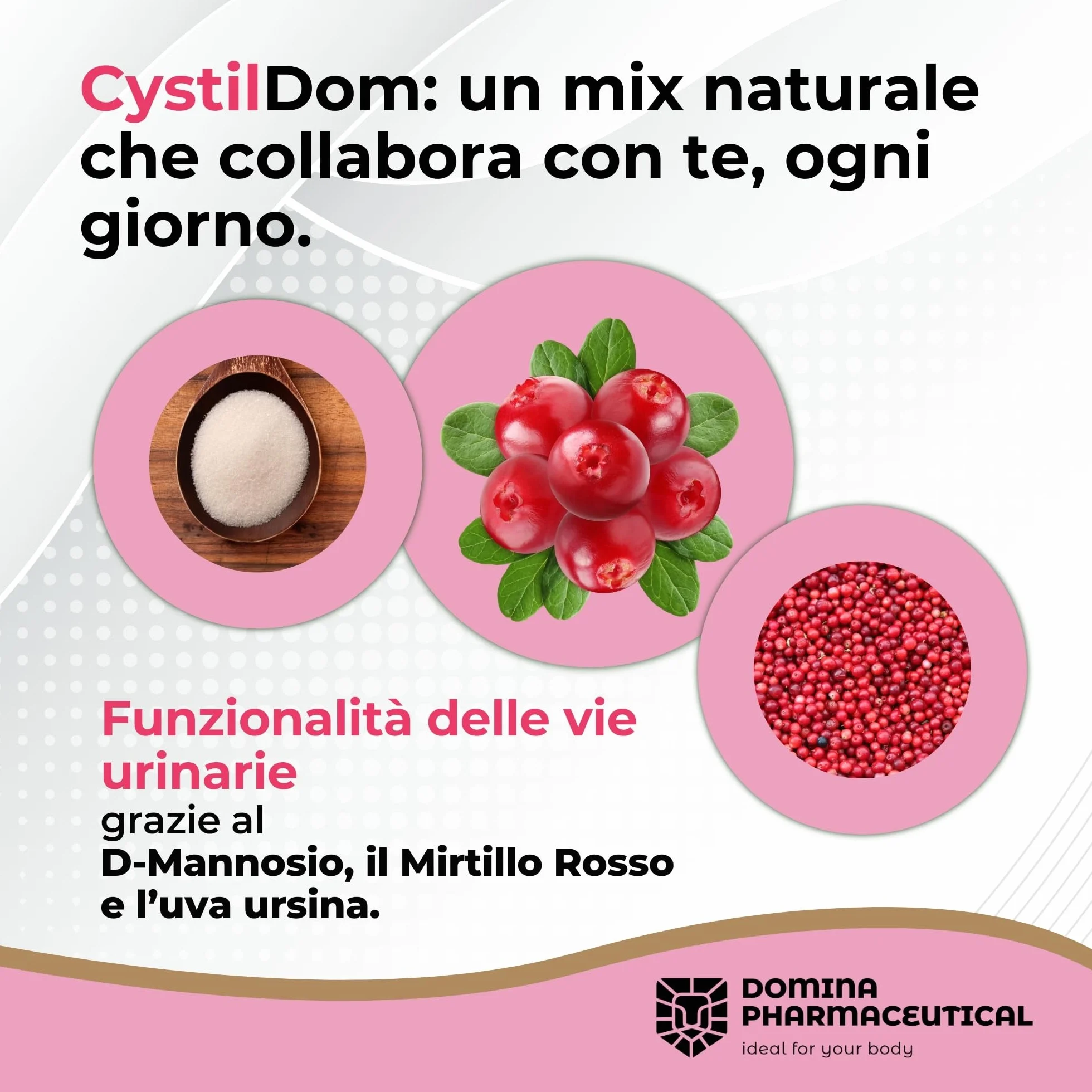 D Mannosio [PURO - VEGANO] Mannosio - con Mirtillo | Tripla Azione - Vie Urinarie - Intestino - Stress Ossidativo | Cistite - Candida Vaginosi | 500 mg -30 Capsule