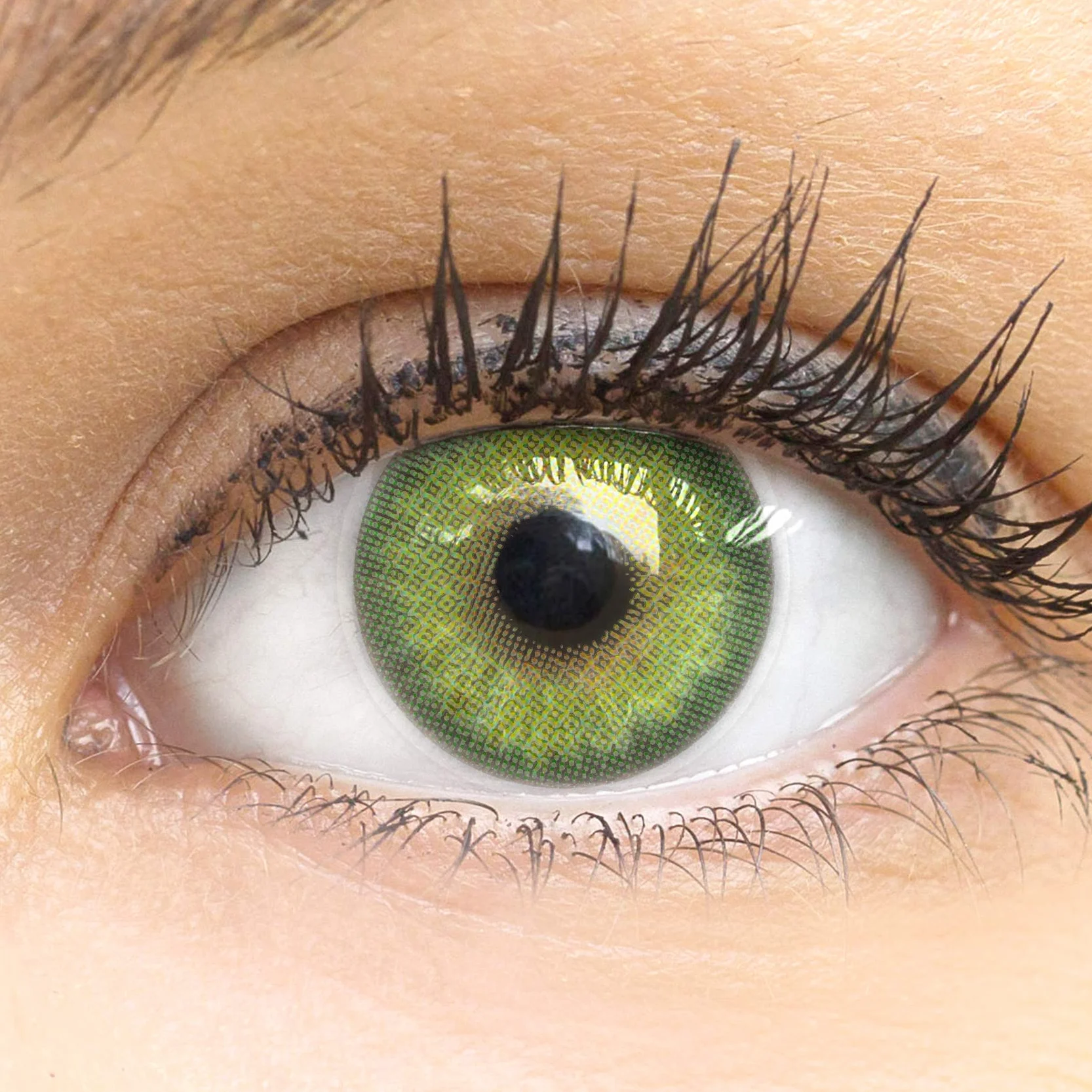 GLAMLENS Lenti a Contatto Colorate Verdi Florence Green - Mensili - Silicone Idrogel - 2 Pezzi - DIA 14.5 - Senza Correzione