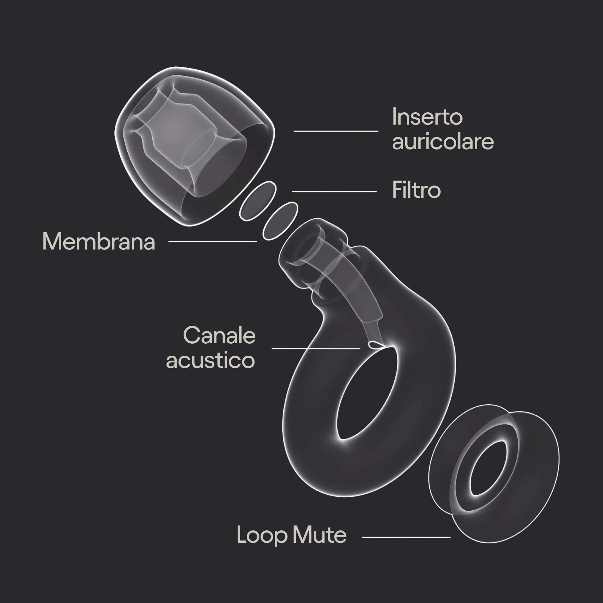 Loop Experience 2 Plus Tappi orecchie Protezione udito Concerti Festival 17 dB Alta fedeltà Mute