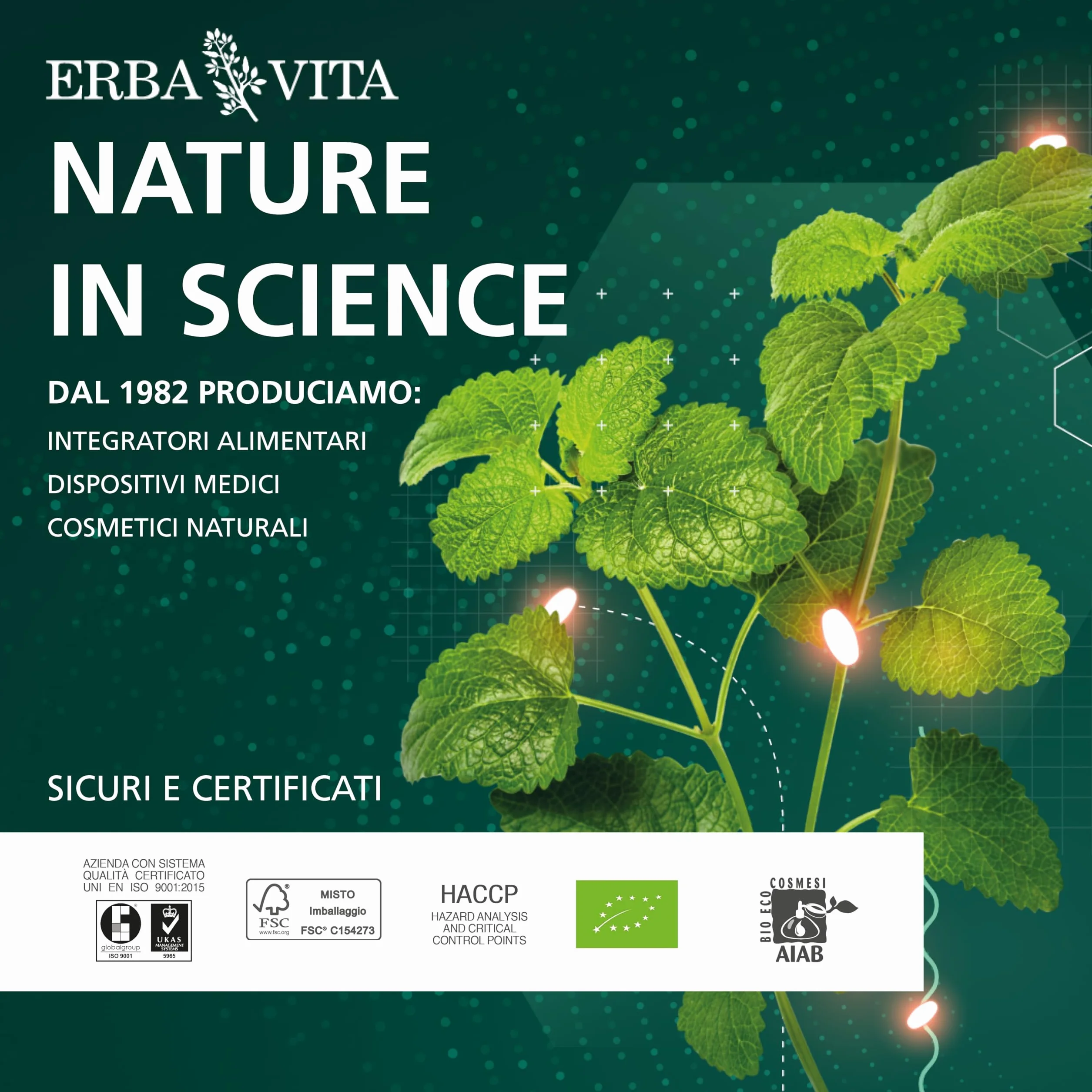 ERBA VITA Integratore Alimentare Caffè Verde 60 Capsule Metabolismo Radicali Liberi
