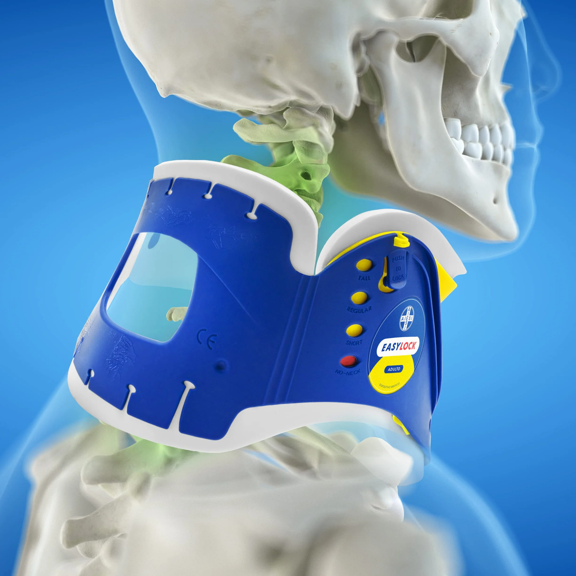 AIESI® Collare cervicale immobilizzante per adulti regolabile in 4 posizioni EASYLOCK