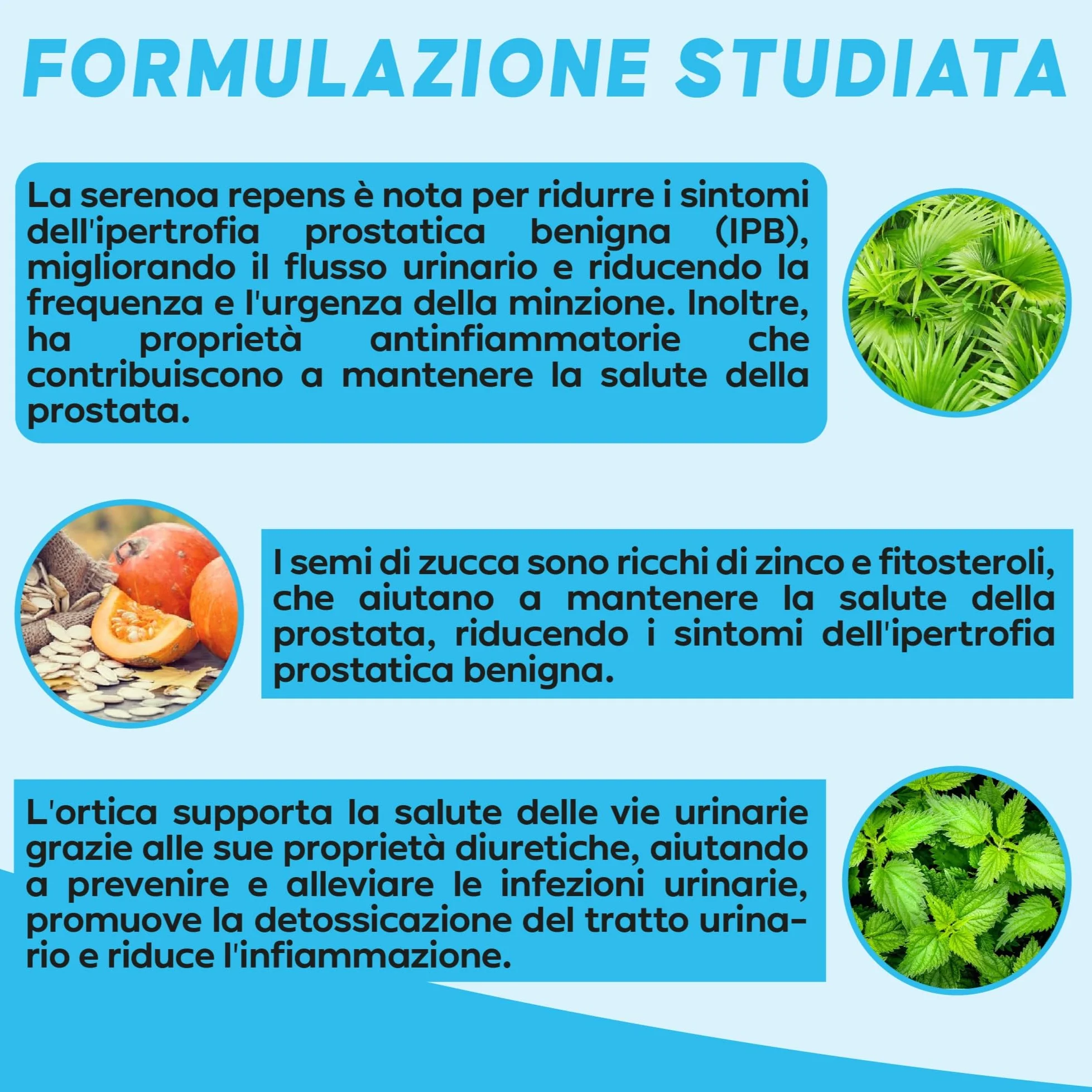 Serenoa repens prostata Integratore 640 mg 180 Capsule Saw palmetto Formula Complex integratore Uomo benessere delle vie Urinarie