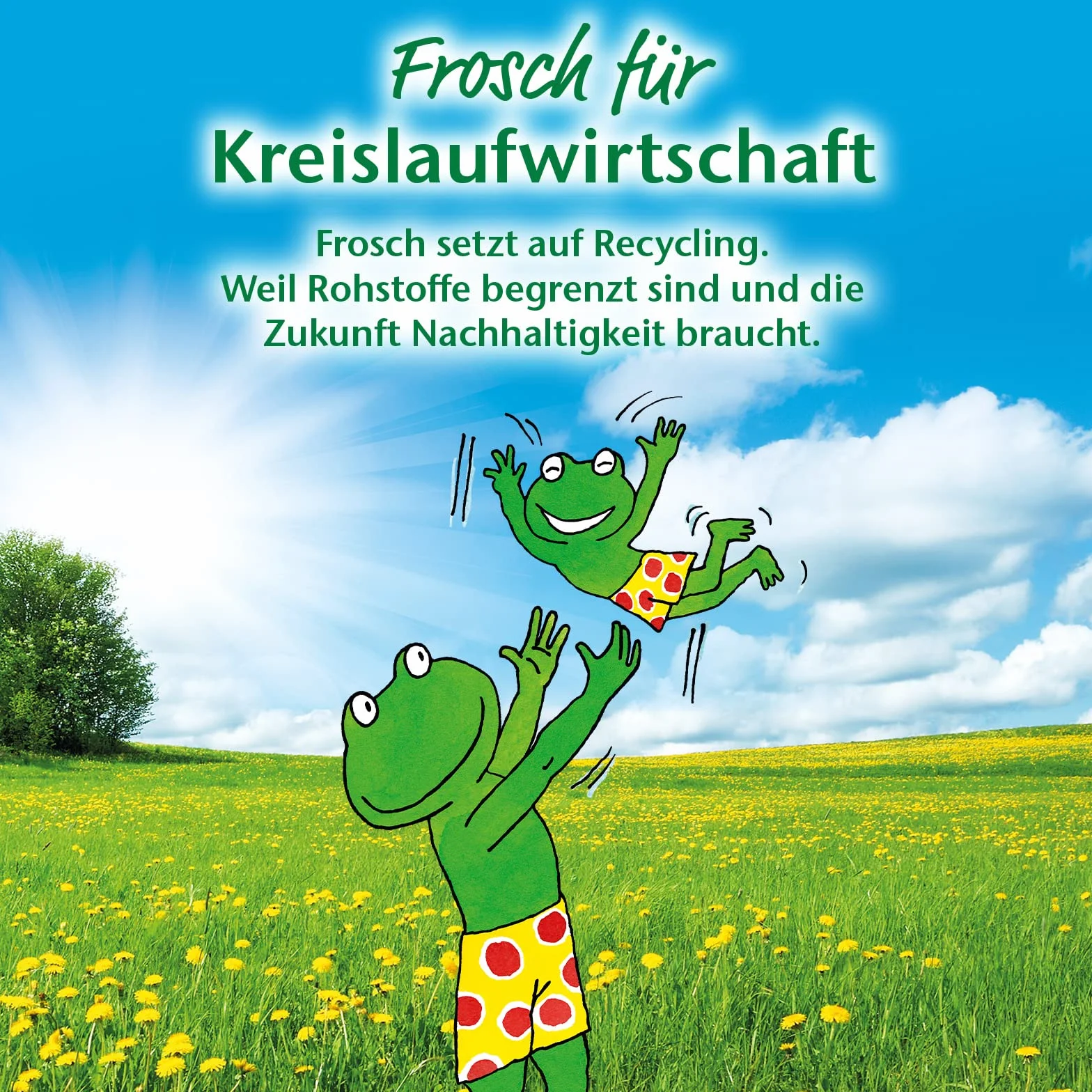 Frosch Detergente per WC, limone, 0,75 l