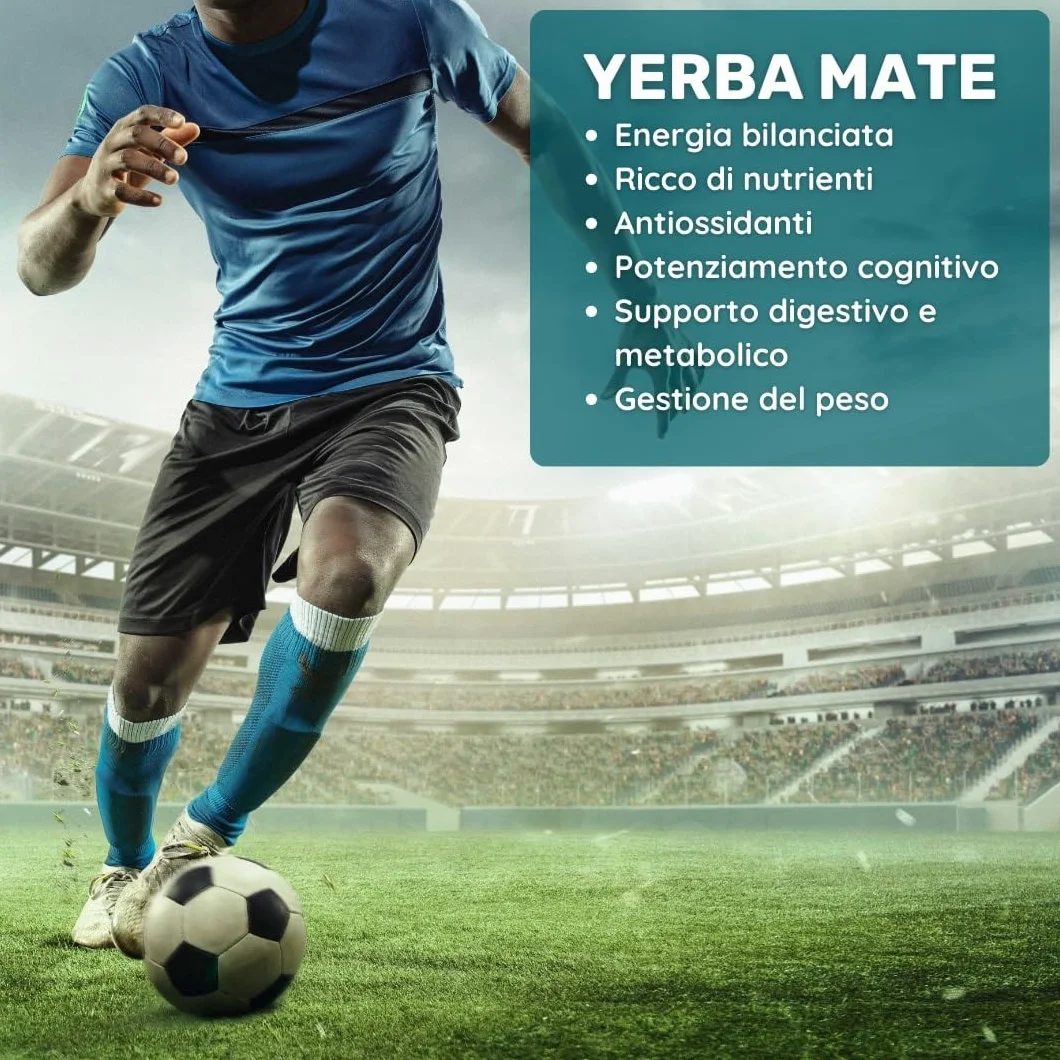 Estratto di Yerba Mate 400mg 60 capsule Concentrato 50:1