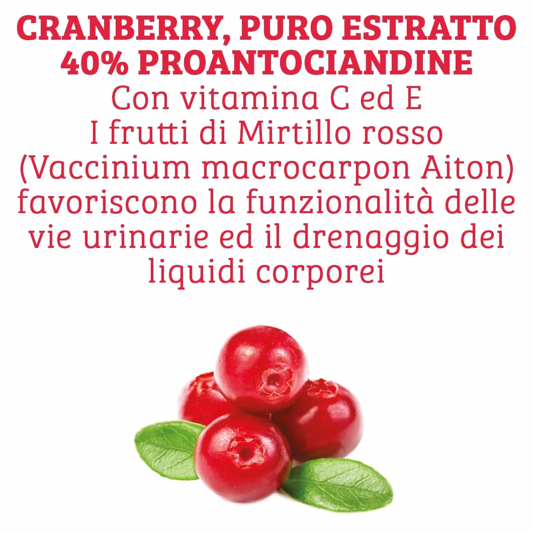 Colours of Life Cyst Cranberry Integratore di Mirtillo Rosso 60 Compresse Senza Glutine Vegano