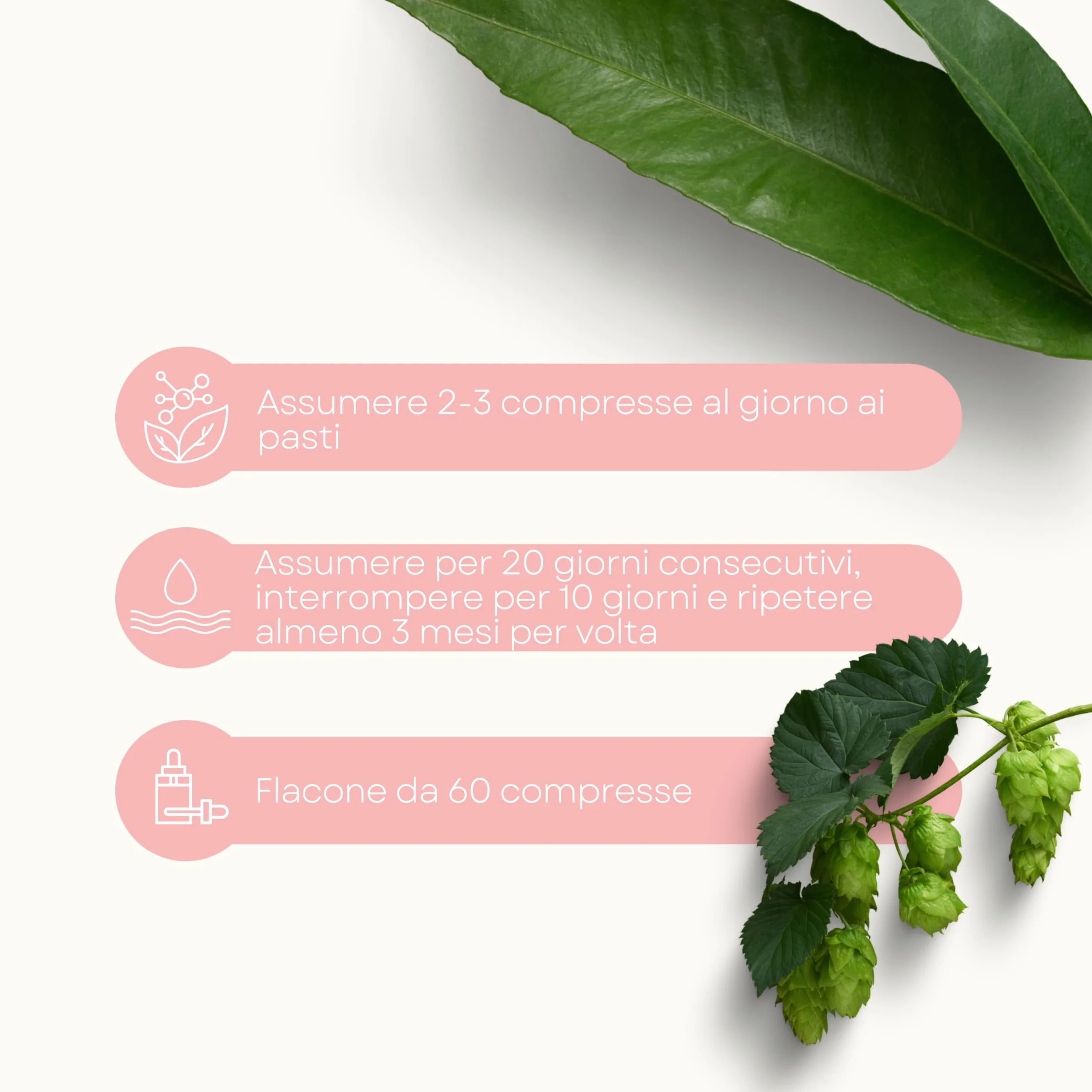 Lemuria 48 Più Cimicifuga Rizoma 60 Compresse Menopausa