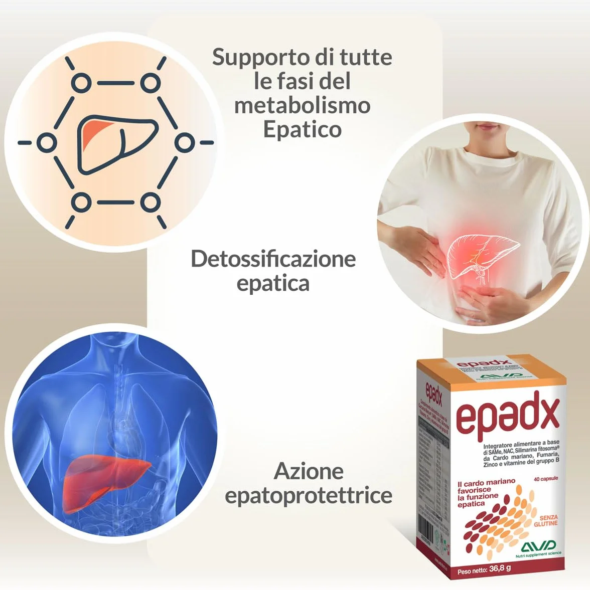 Epadx AVD REFORM supporto epatico con SAMe NAC e Silimarina Fitosoma 40 capsule