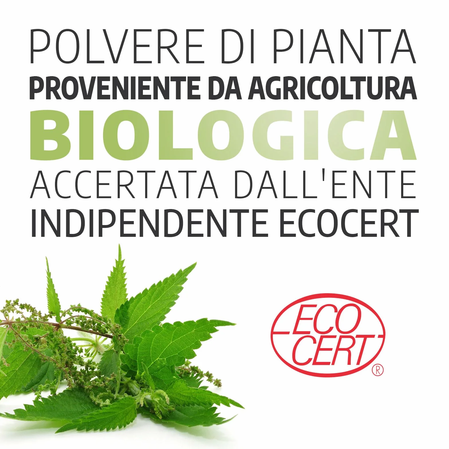 Ortica Foglia Biologica 210mg 200 kapsułek