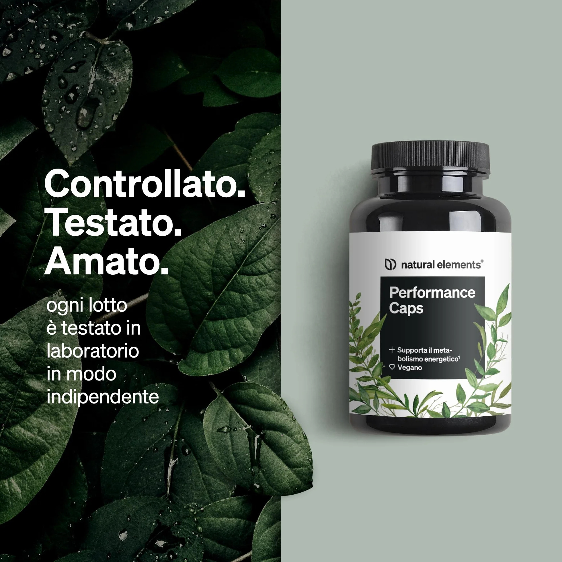 Performance Caps 120 capsule caffeina tè verde guarana chicchi verdi caffè vitamine B vegane alto dosaggio