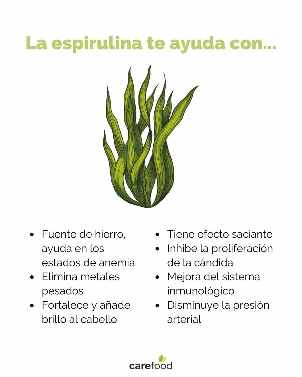 Spirulina Polvere Bio 200 g Alga Spirulina Superalimenti Effetto Saziante
