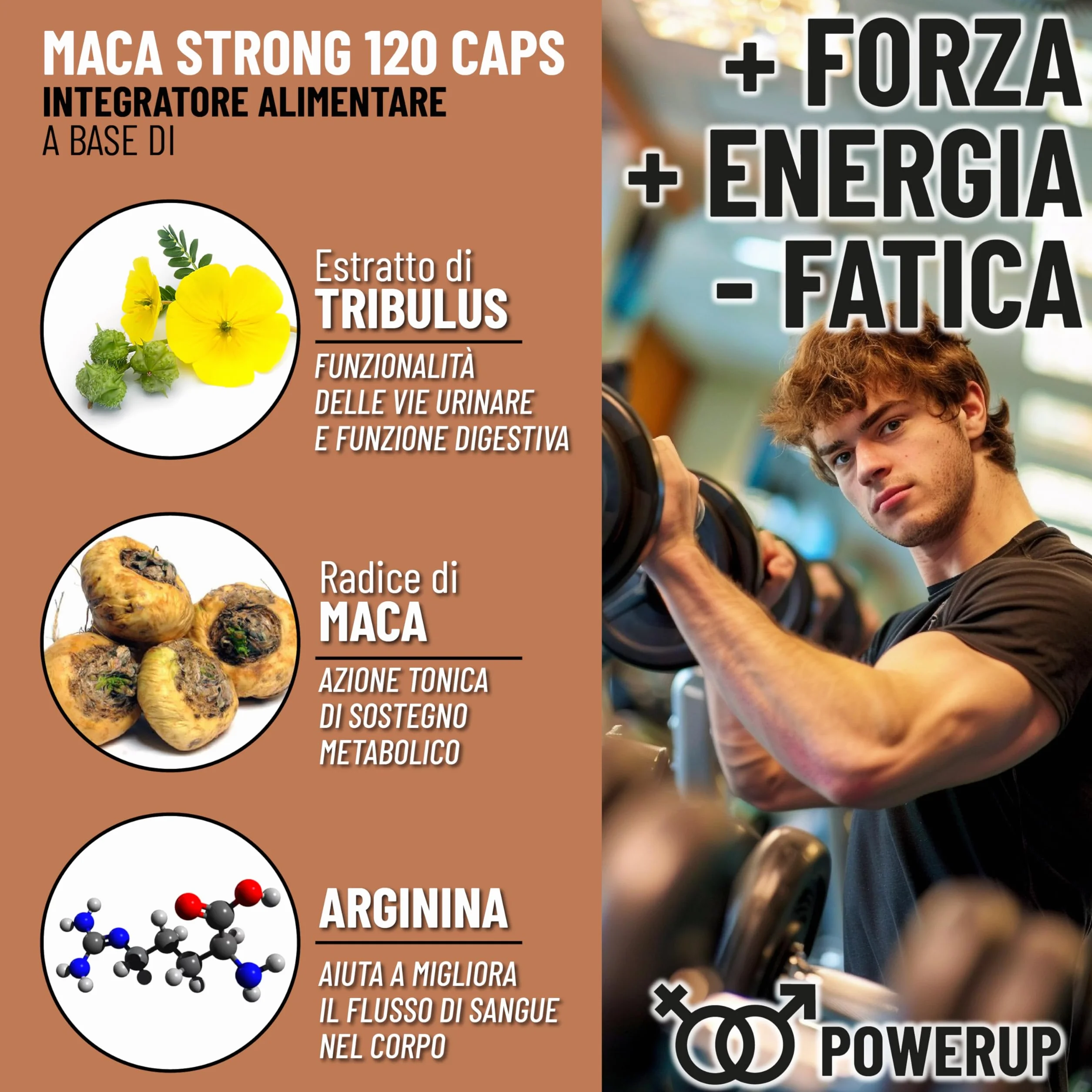 Integratori sessuali per uomo Maca, Arginina, Tribulus Terrestris, Zinco e Vitamine B – Energia e Vitalità Uomo – Supporto Testosterone e Performance – vigore e libido