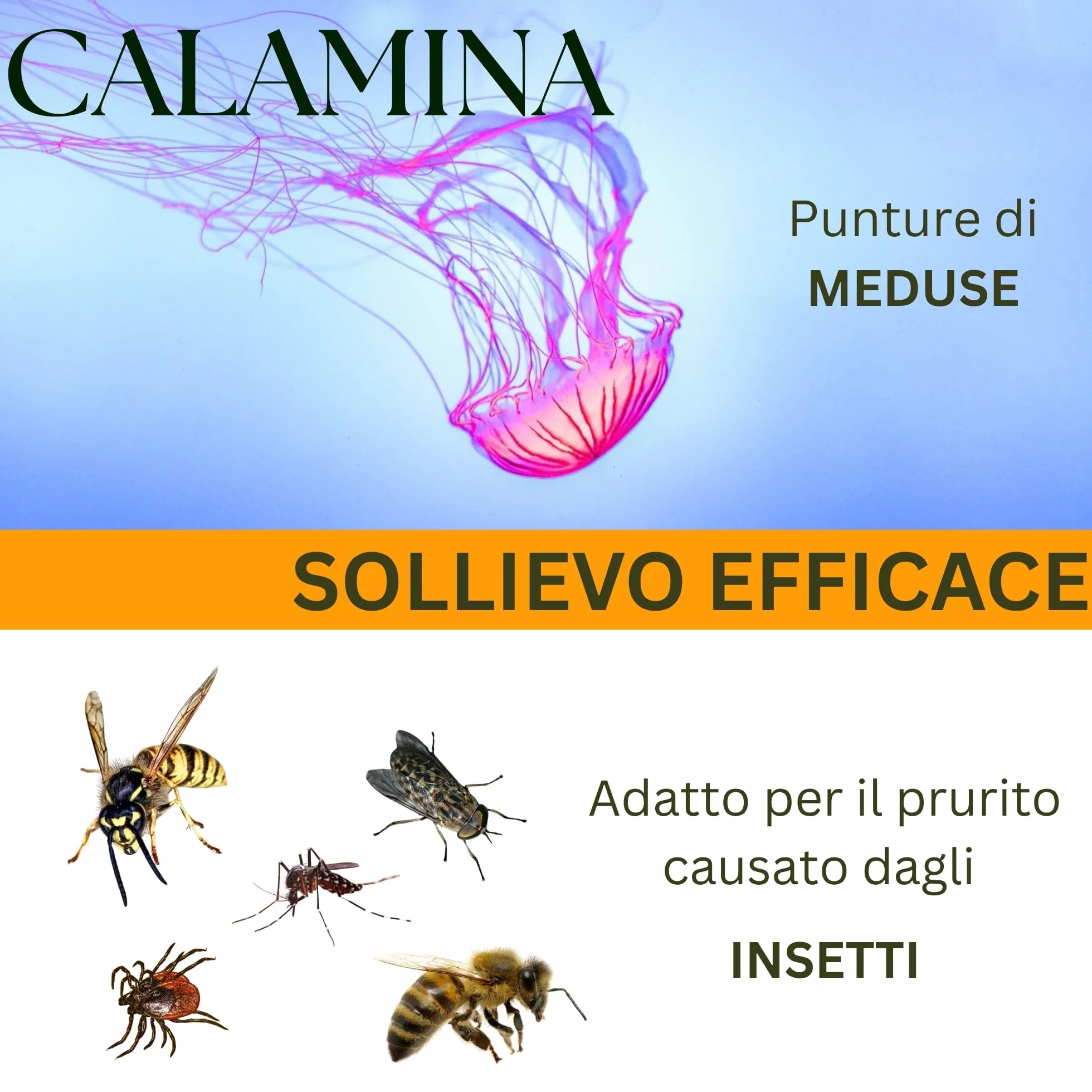 Kefus Crema Calamina con Dexpantenolo, Allantoina e Vitamina E. Astringente, assorbente e protettiva per la pelle. Previene e migliora le eruzioni cutanee, allevia le punture di insetti e meduse. 75 g