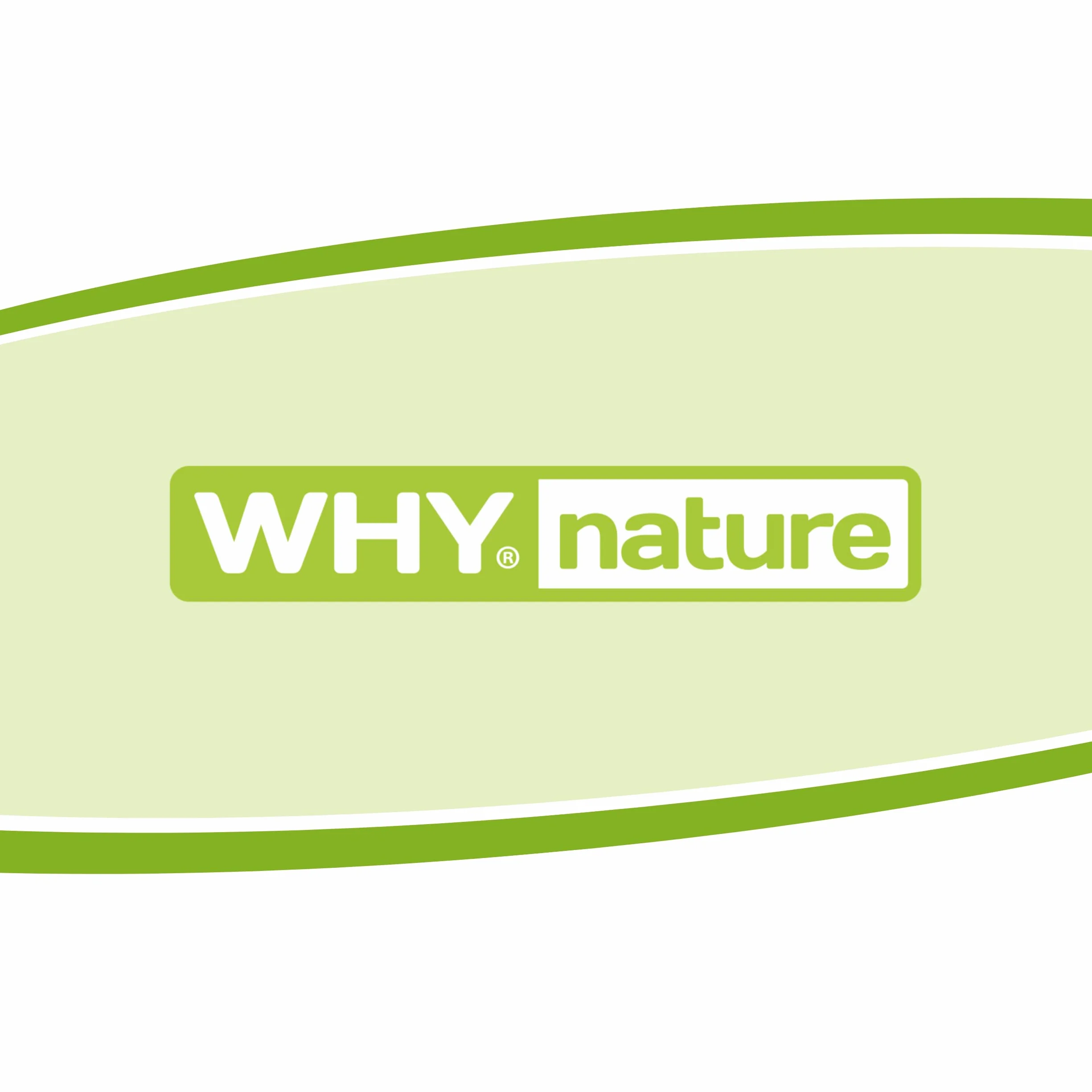 WHY NATURE Crustini Proteici Gusto Cioccolato e Nocciola 35 g Snack Proteici