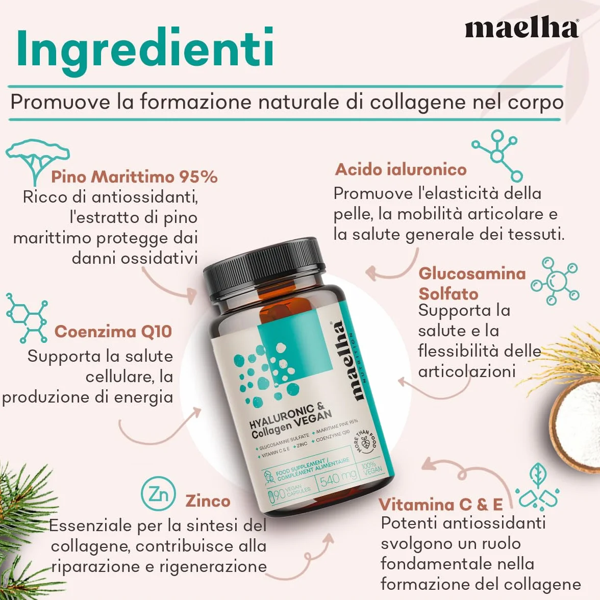 Acido Ialuronico e Collagene VEGANO Integratore 90 Capsule con Vitamina C E Zinco Coenzima Q10 Pino Marittimo
