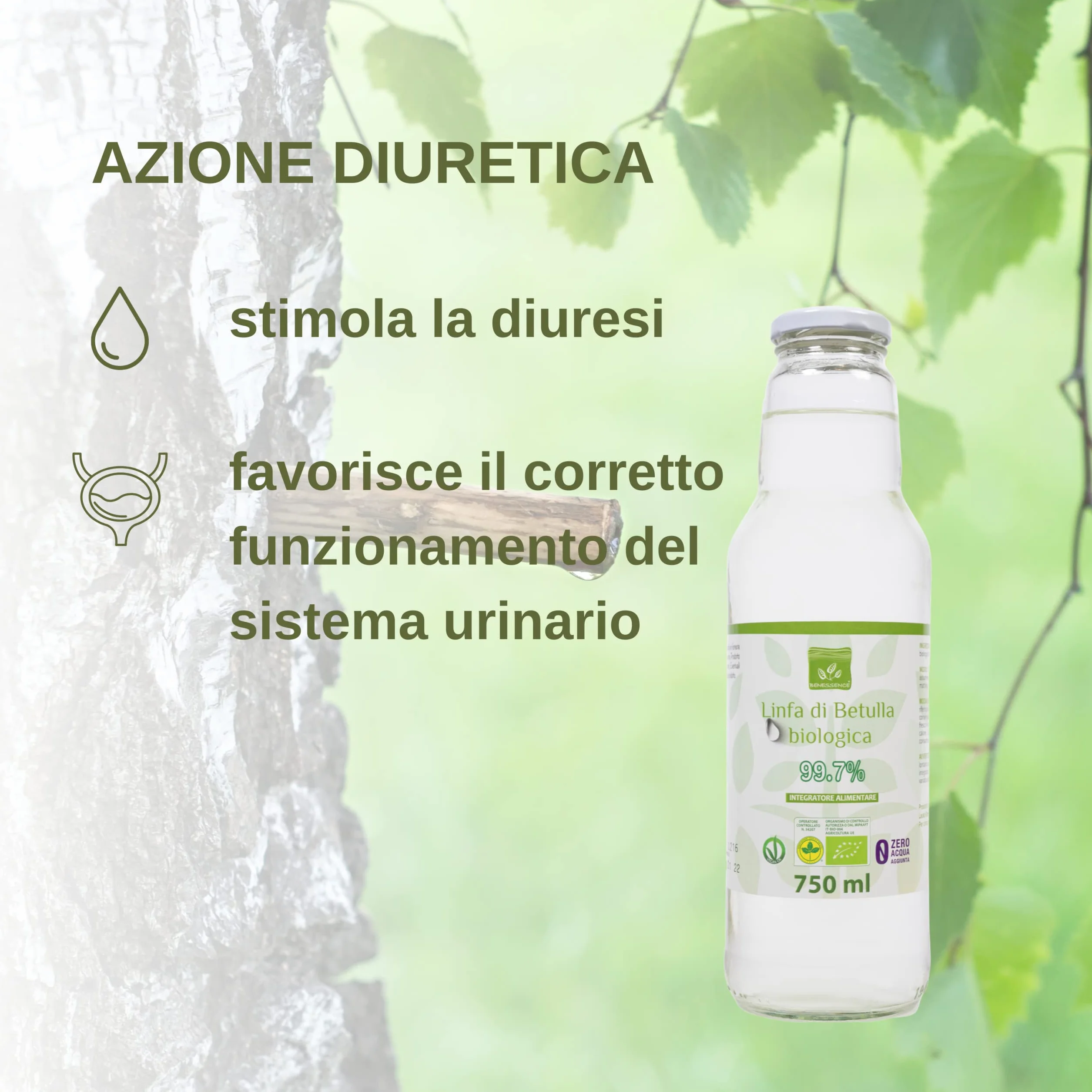 Benessence Linfa di Betulla Biologica 750ml 3 bottiglie Detox Drenante