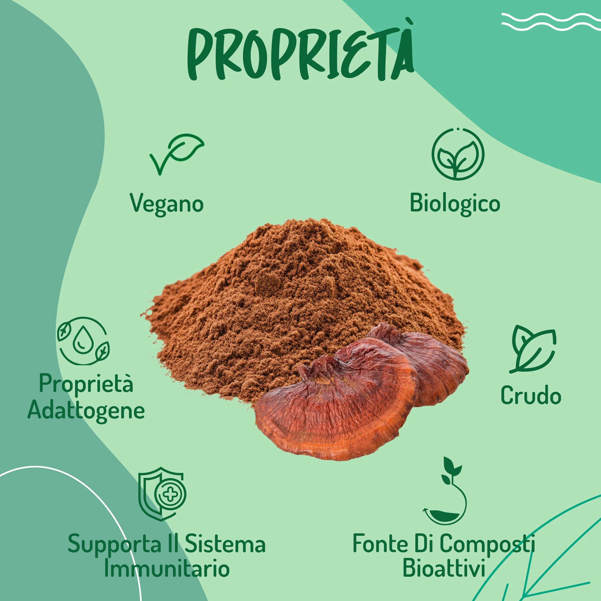 Reishi Ganoderma Lucidum Puro e Bio in Polvere - 300g. Fungo Reishi Biologico Essiccato al Sole e Macinato a Basse Temperature. Funghi medicinali Fonte di Antiossidanti, Fungo Cinese Reishi