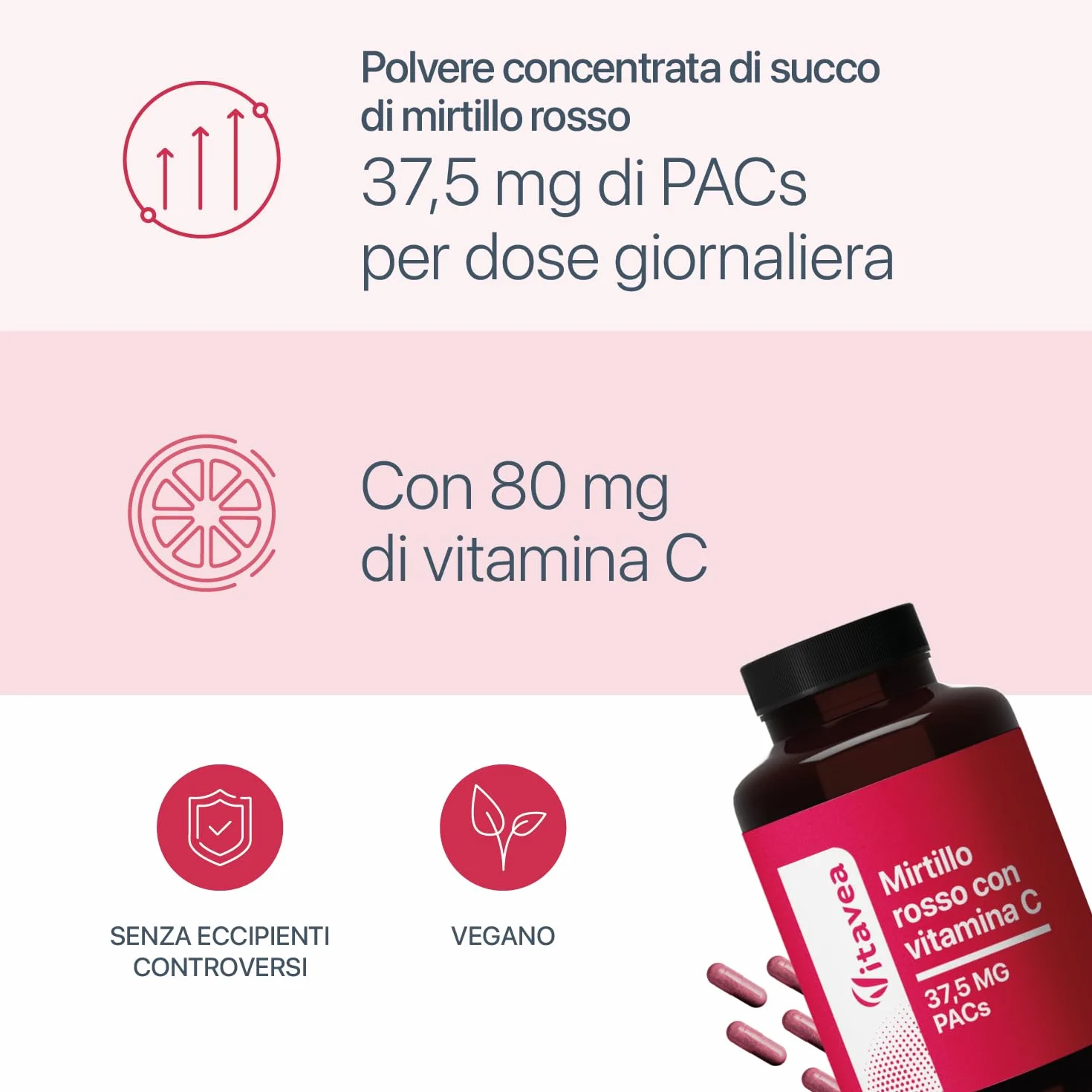 Mirtillo Rosso con Vitamina C – 1250 mg di succo di mirtillo rosso in polvere al giorno – 37,5 mg PAC – 180 capsule vegane – Senza additivi inutili – Vitavea