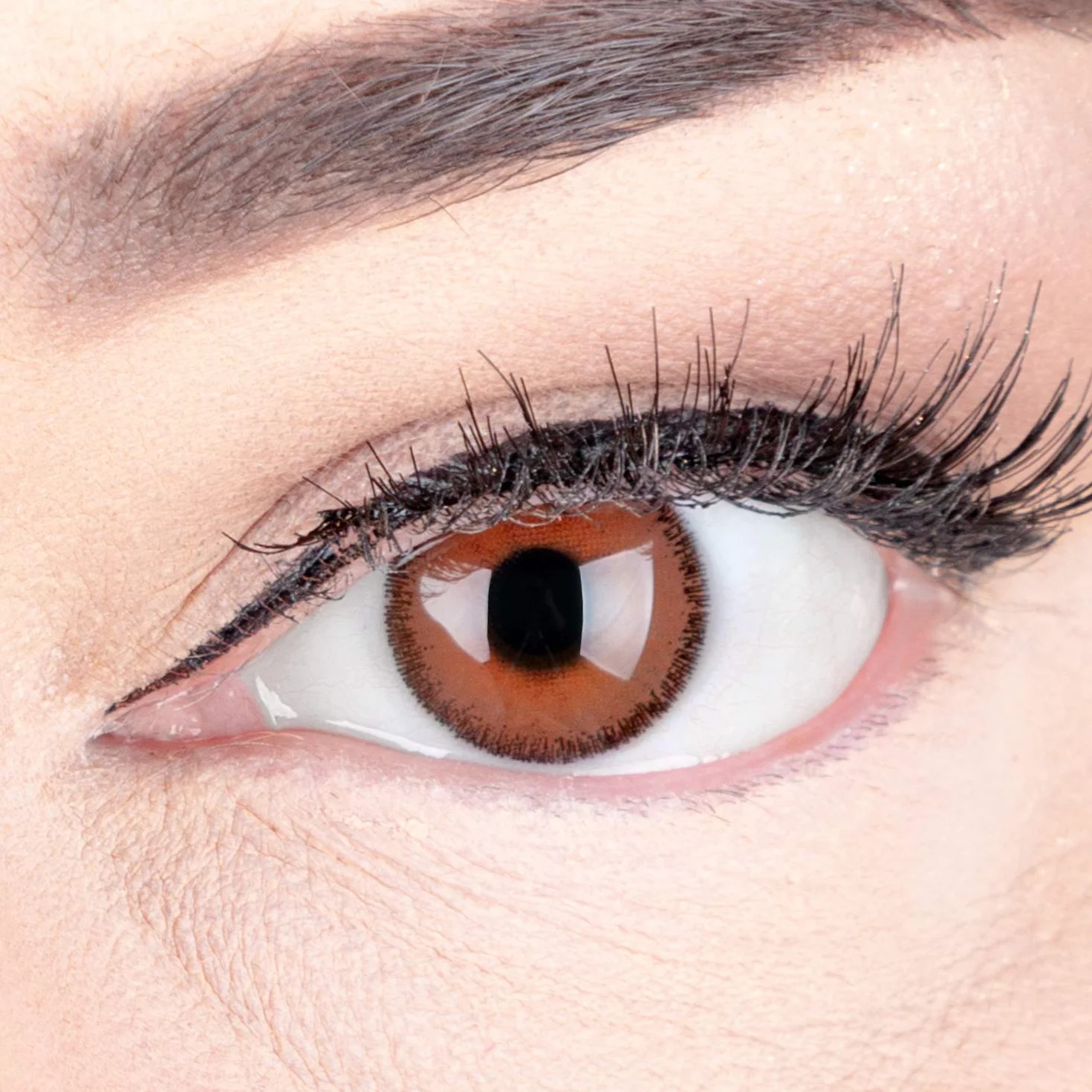 GLAMLENS Mirel Choco Hazel Lenti a Contatto Colorate Marrone Scuro - Mensili Silicone Idrogel, 2 Pezzi, DIA 14.0, 0.00 Diottrie
