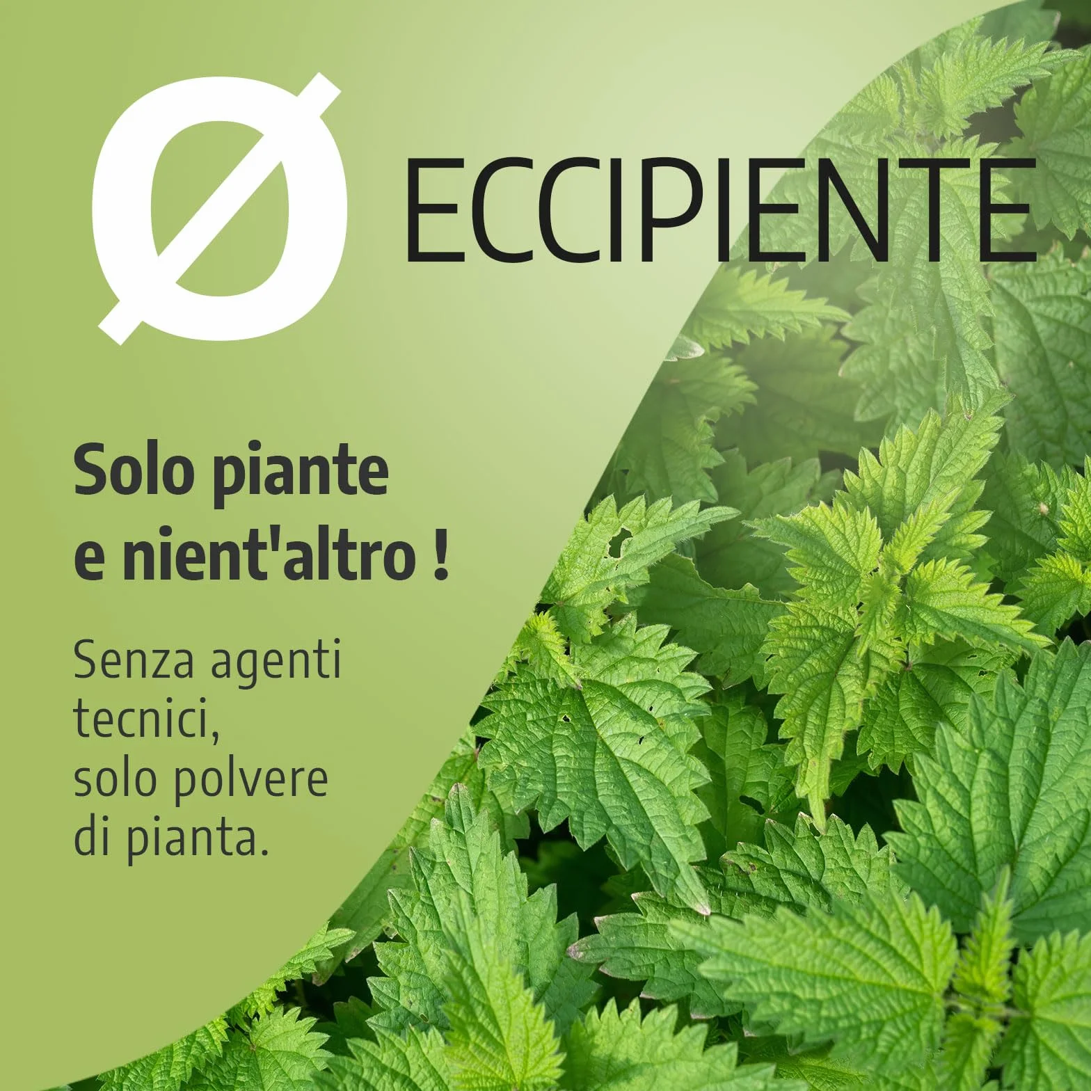 Ortica Foglia Biologica 210mg 200 kapsułek