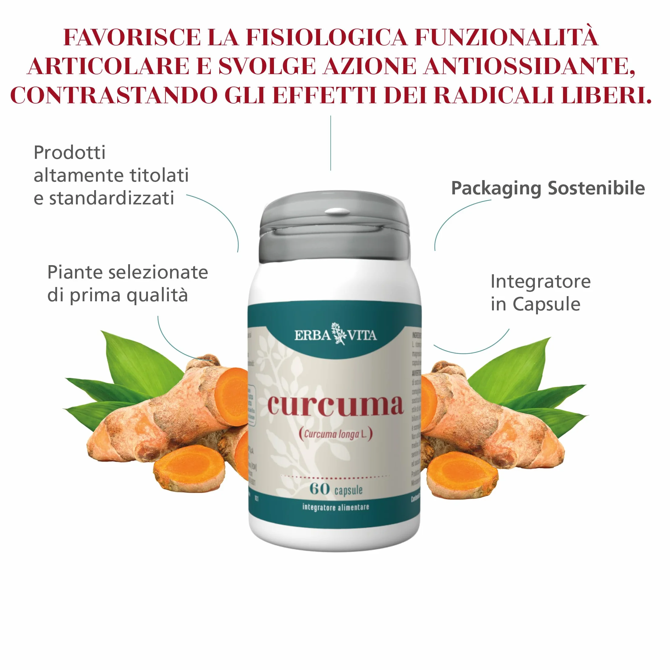 ERBA VITA Integratore Alimentare Curcuma 60 Capsule Funzionalità Articolare
