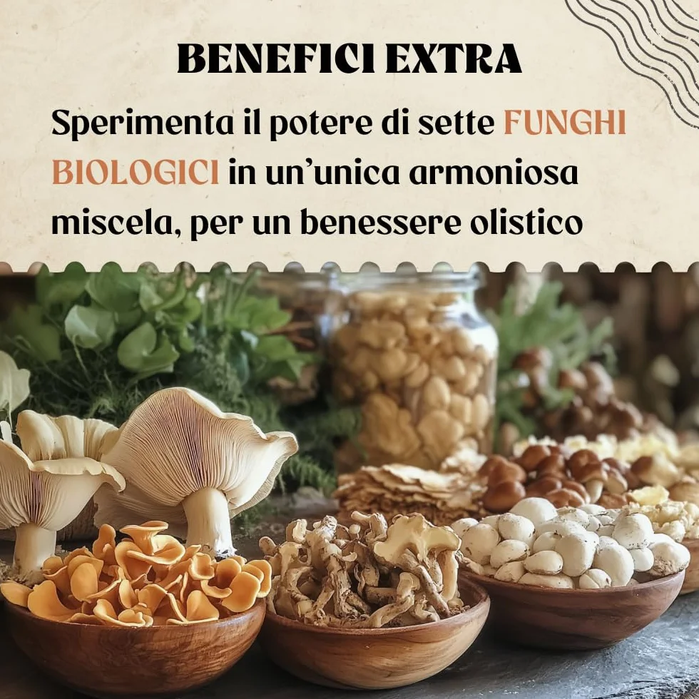 NaturaleBio Miscela di funghi in polvere 200g. Aumenta l'energia, favorisce la concentrazione, supporta l'intestino e il sistema immunitario. Bio, vegano, senza glutine e non OGM. Facile da consumare.