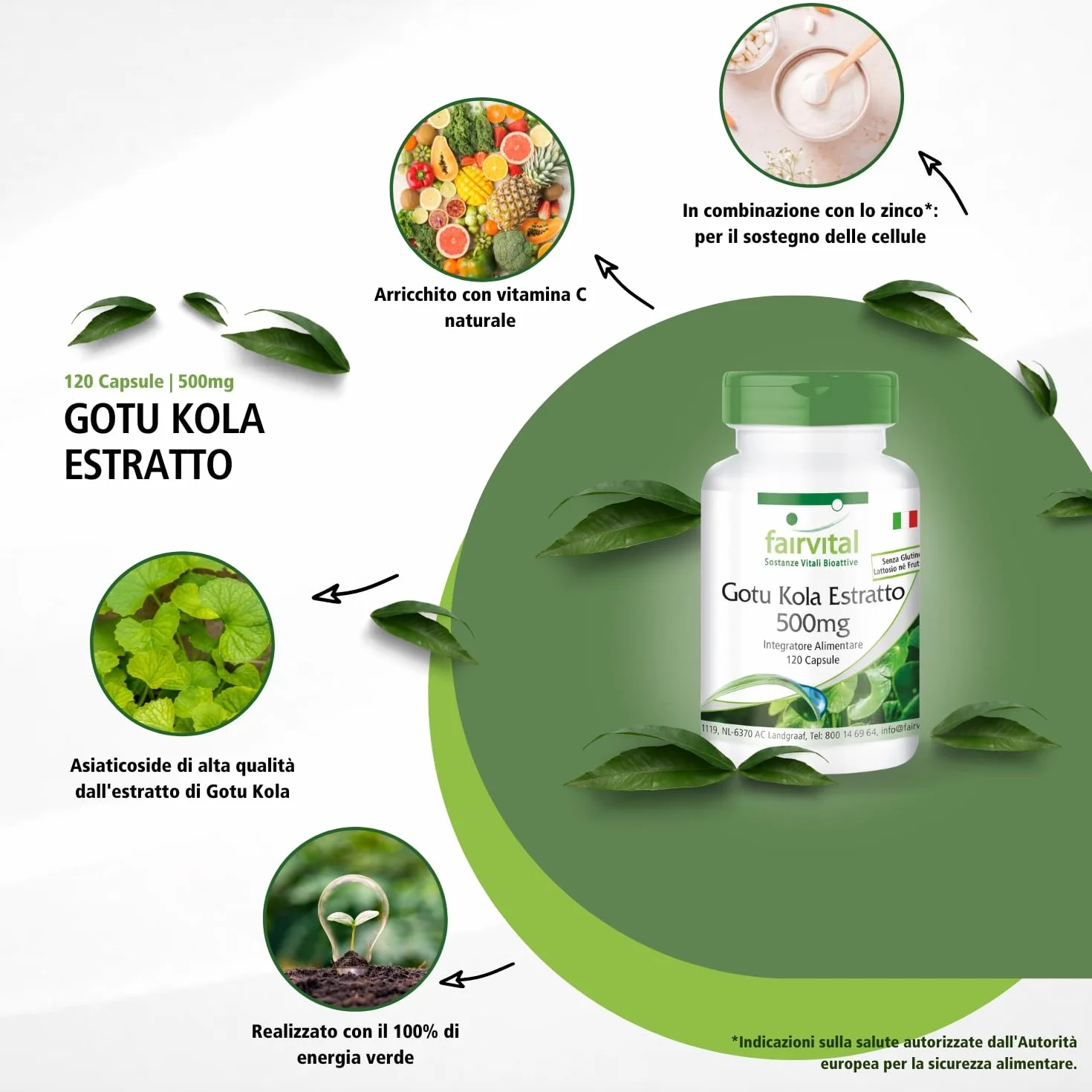 Fairvital Centella Asiatica 120 capsule 500 mg Alto Dosaggio Vegano