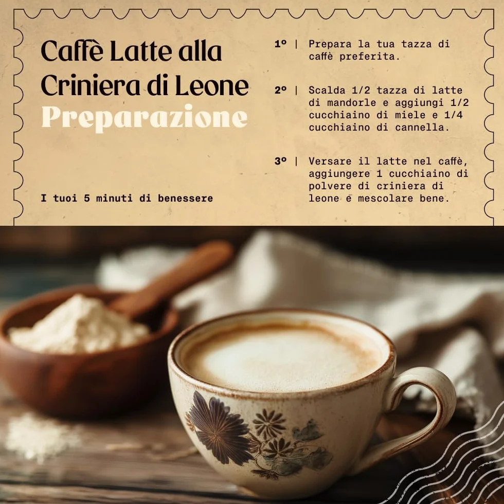 NaturaleBio Criniera di Leone in Polvere 200g | Biologica, Vegana, Senza Glutine, Non OGM | Supporta Funzioni Cognitive, Intestino e Sistema Immunitario | Facile da Assumere