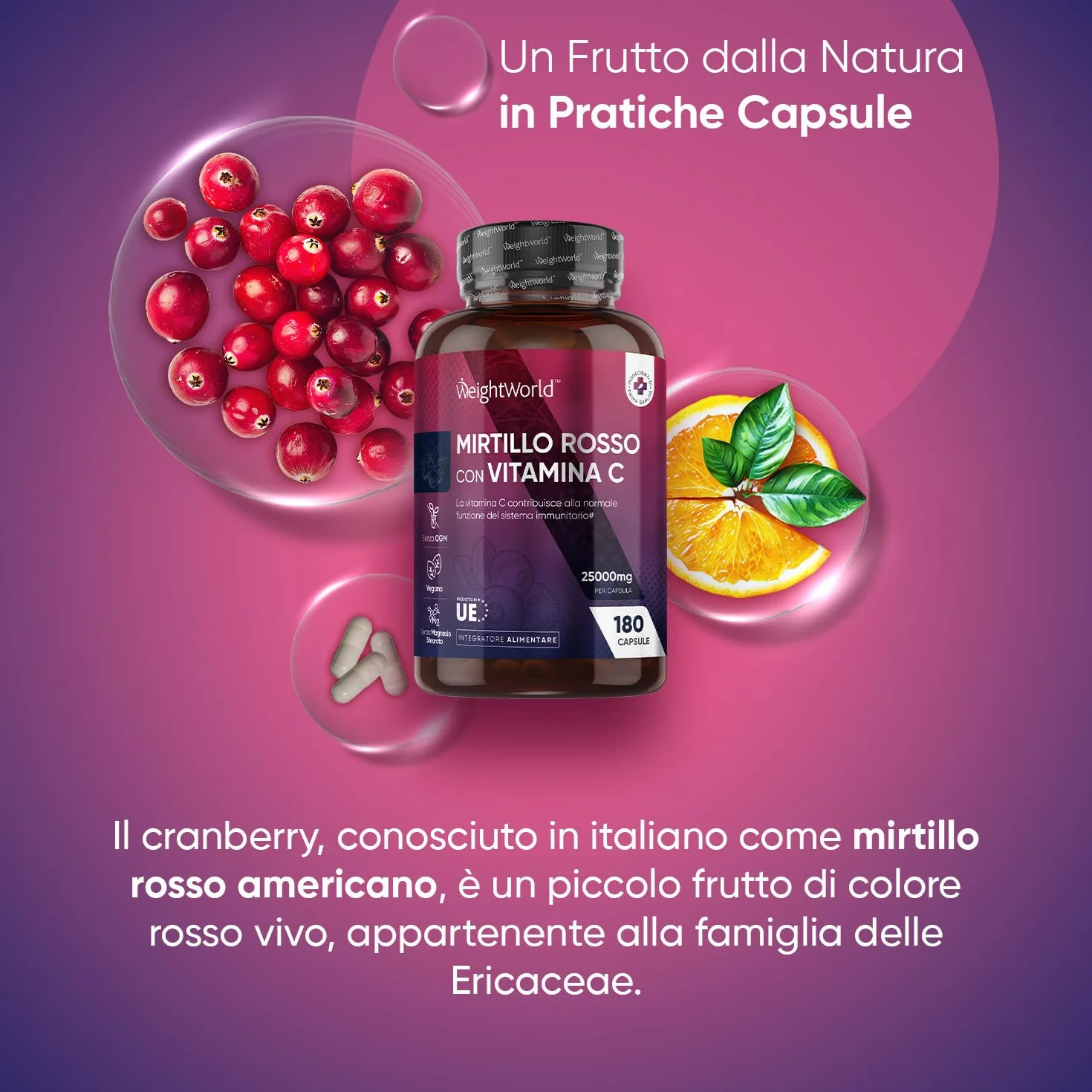 Mirtillo Rosso Vegano 180 Cranberry Capsule 25000mg per Capsula Integratore Alimentare Estratto 50:1 con Vitamina C