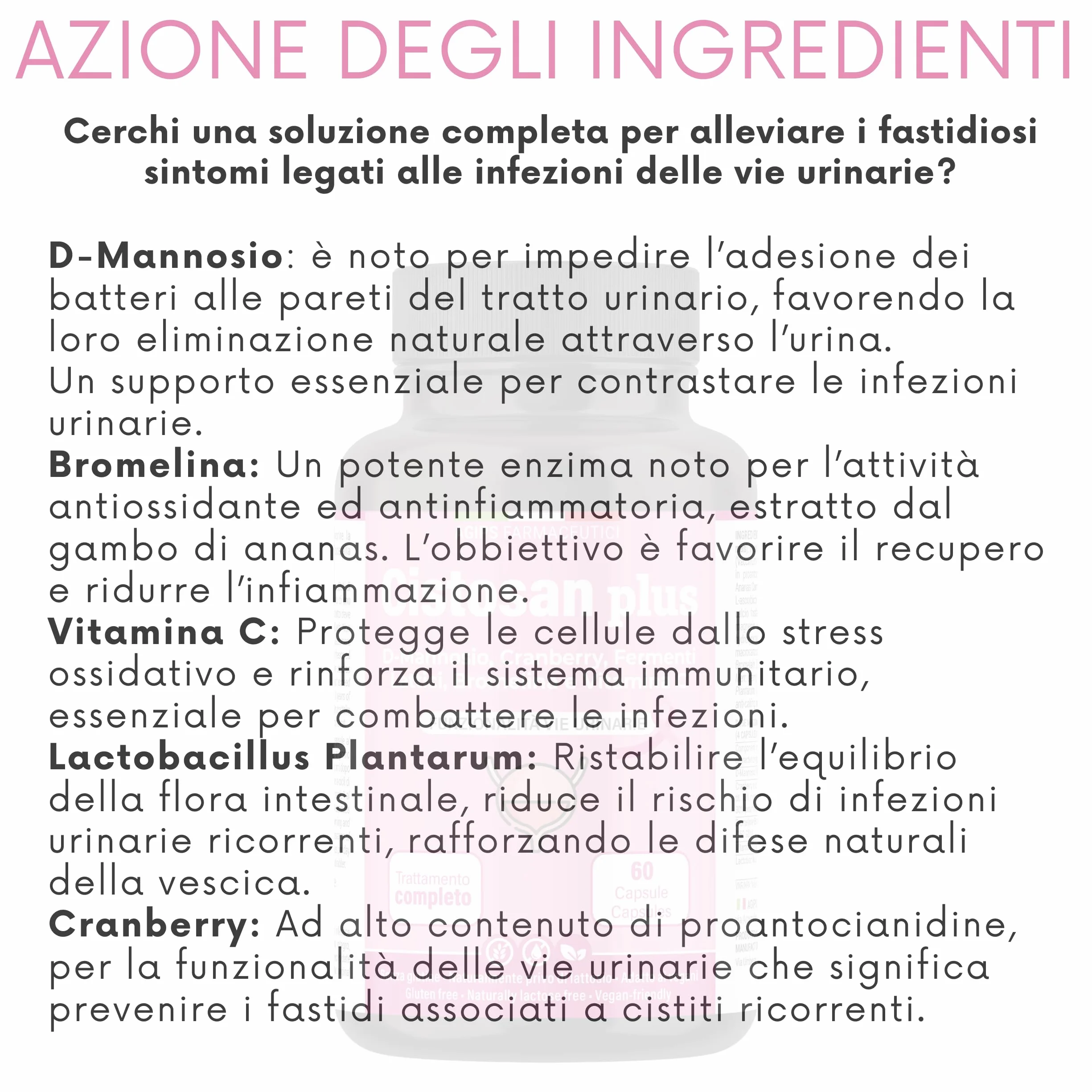 Integratore Cistite con D-Mannosio Puro 2000 mg Bromelina Mirtillo Rosso Fermenti lattici Vitamina C Per Favorire La Funzionalità Vie Urinarie Vegano 60 capsule Cistosan Agips Farmaceutici
