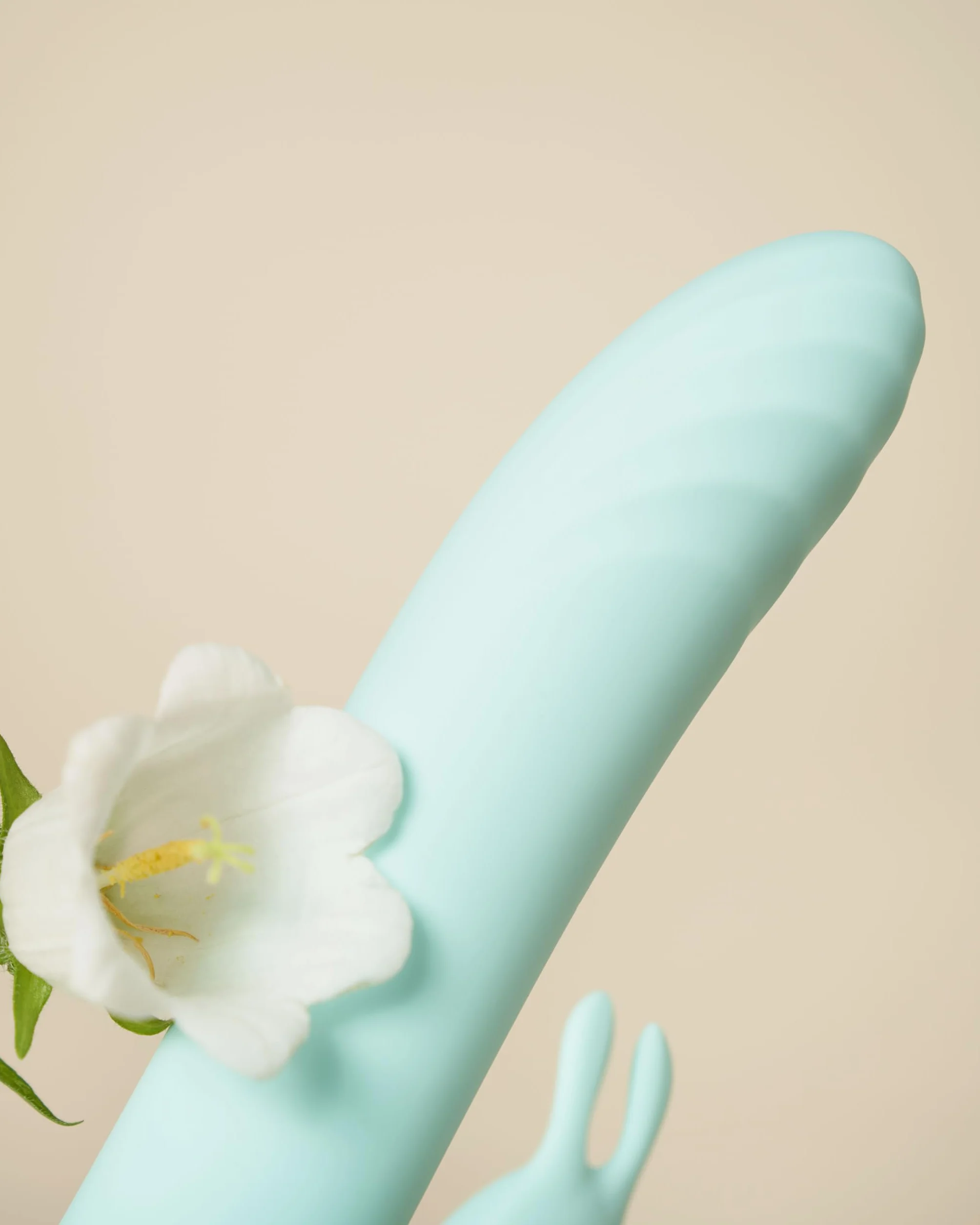 Control Be Playful, Vibratore Rabbit con Effetto Spinta e Braccio Flessibile per il Clitoride, Silicone medico senza Ftalati, Ricarica USB, Water Splash (IPX4)