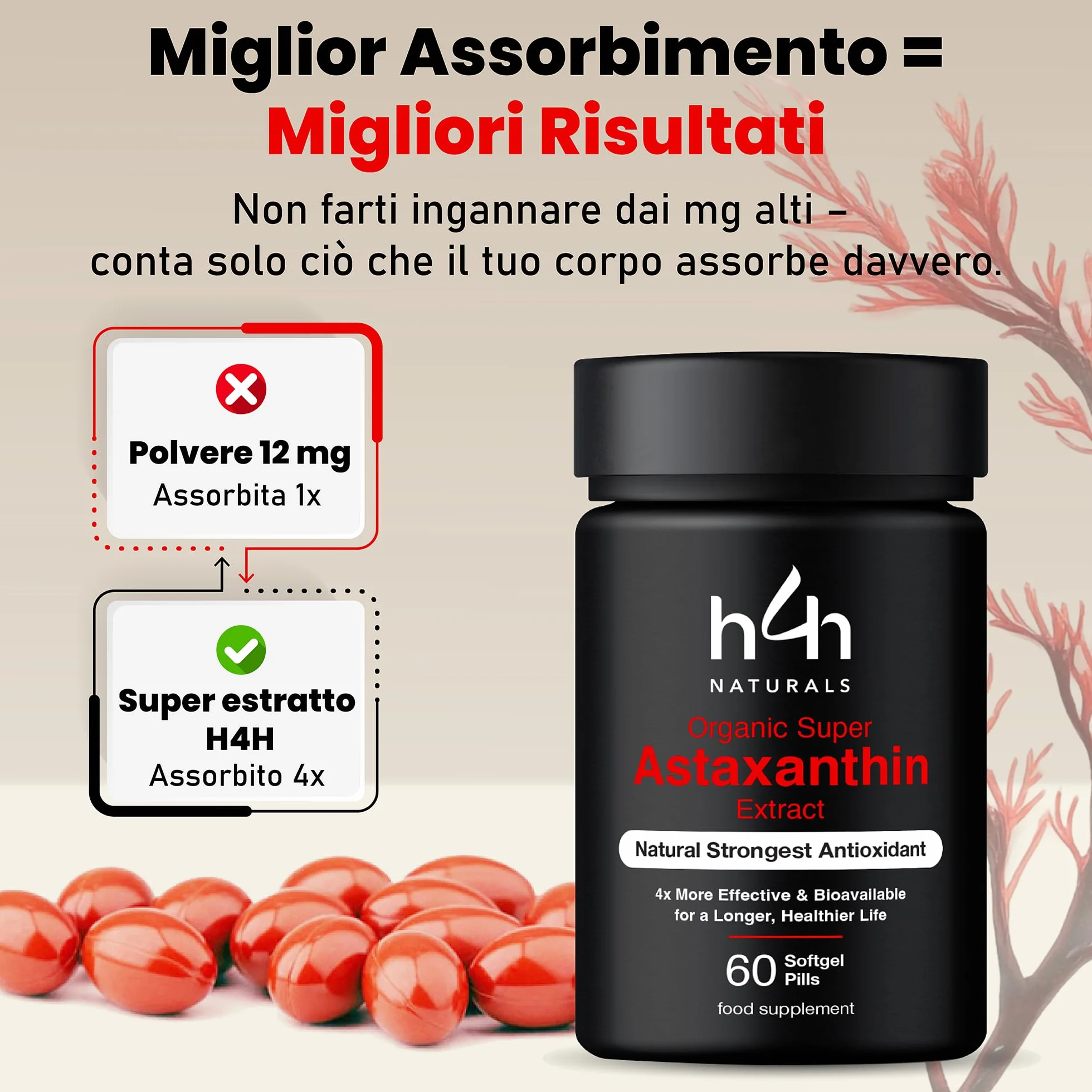 Super Astaxantina Biologica 16mg Polvere Olio d'Oliva Italiano Bio Vegan Certificati Bio UE/USDA