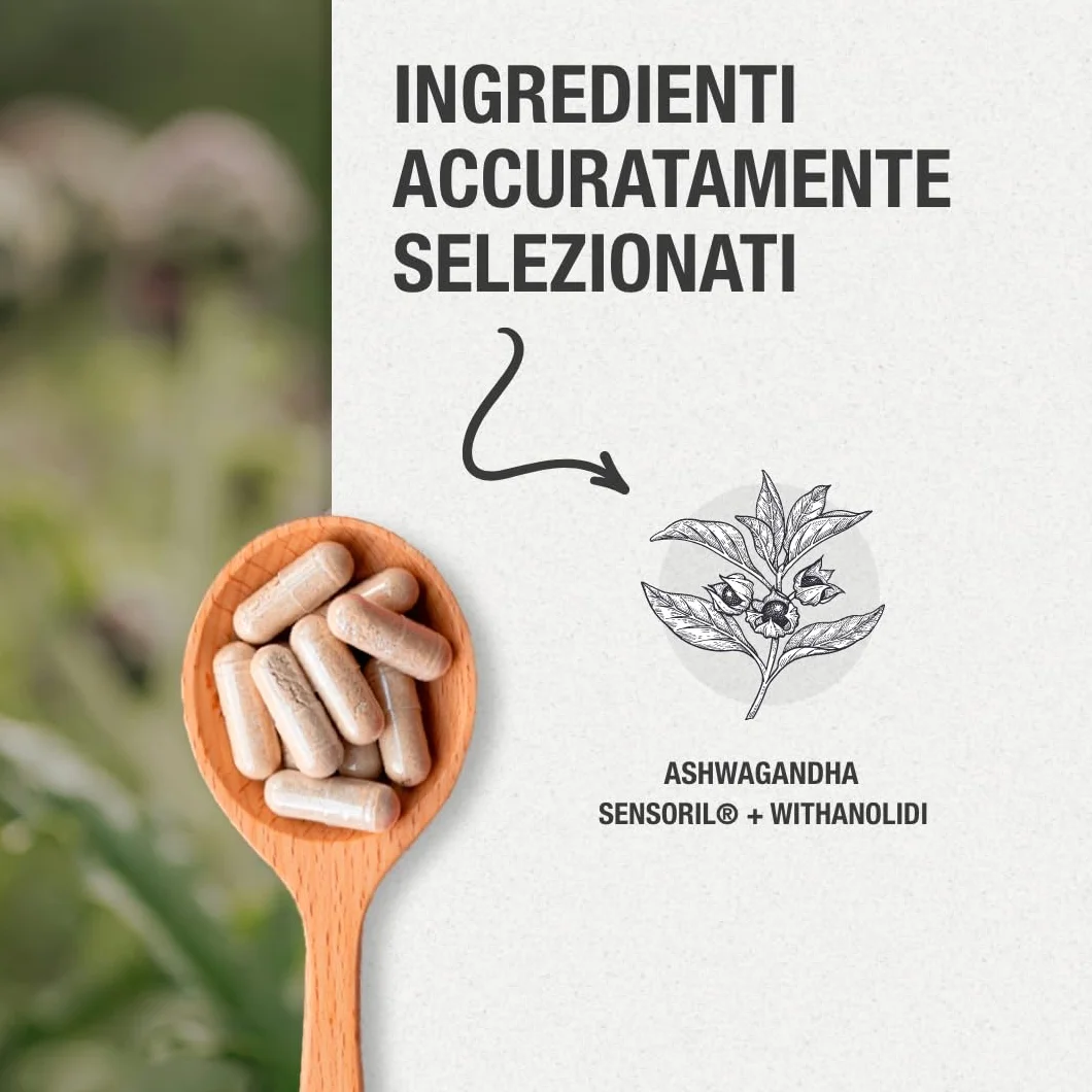 Ashwagandha Sensoril® 5:1 Estratto 10:1 5250 mg 120 capsule vegane Concentrazione superiore KSM-66