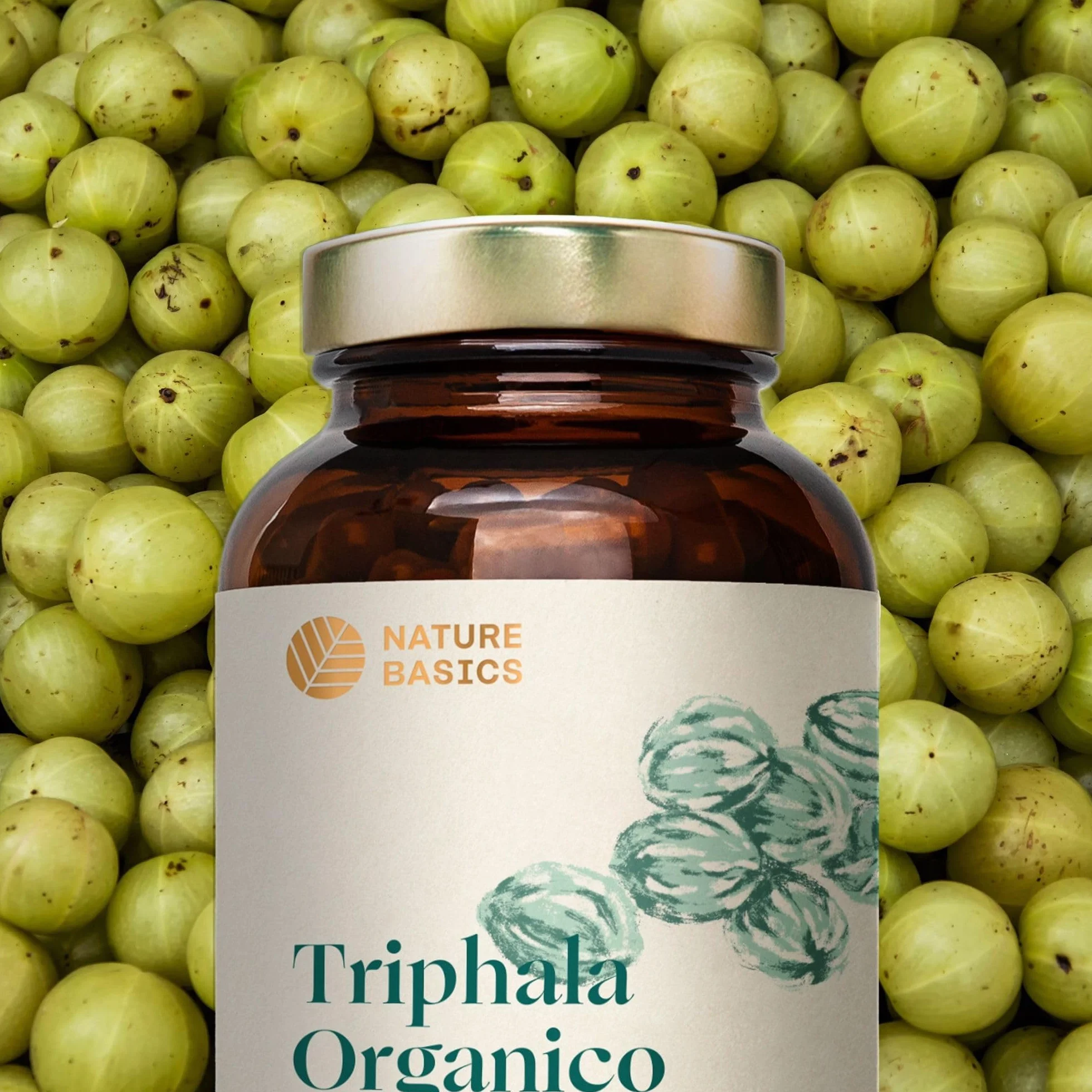 Nature Basics® BIO Triphala capsule certificate e in barattolo | Triphala ayurvedica altamente dosata con 1.500 mg per dose giornaliera | 180 capsule testate in laboratorio e provenienti da DE