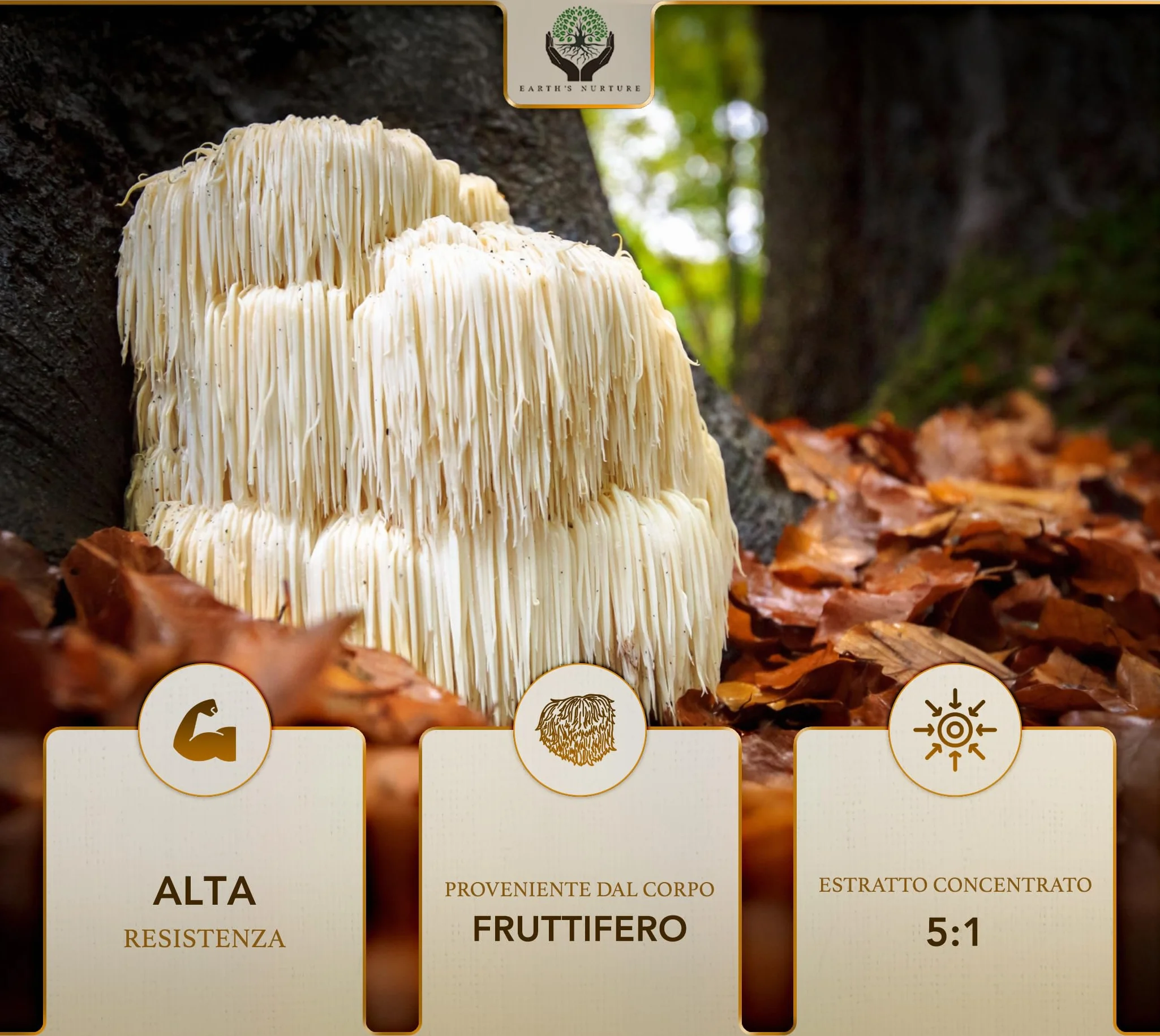 EN Lions Mane | 1000mg Lion's Mane per Dose | Alta Potenza Fungo Criniera di Leone - 90 Lion-Mane Mushroom Capsules | Non-OGM, Senza Glutine e Allergeni | Prodotto nel Regno Unito