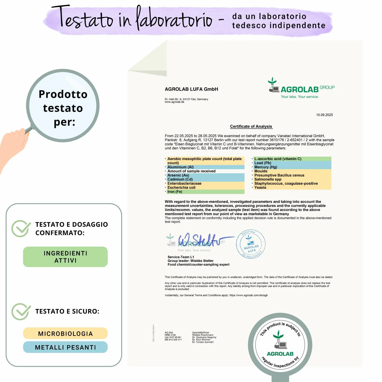 Integratore FERRO 30mg | con Vitamina C, Acido Folico, B12, B2, B6 | Anemia, Mestruazioni, Stanchezza, Difese Immunitarie | Senza Additivi | Vegan | Vegavero®