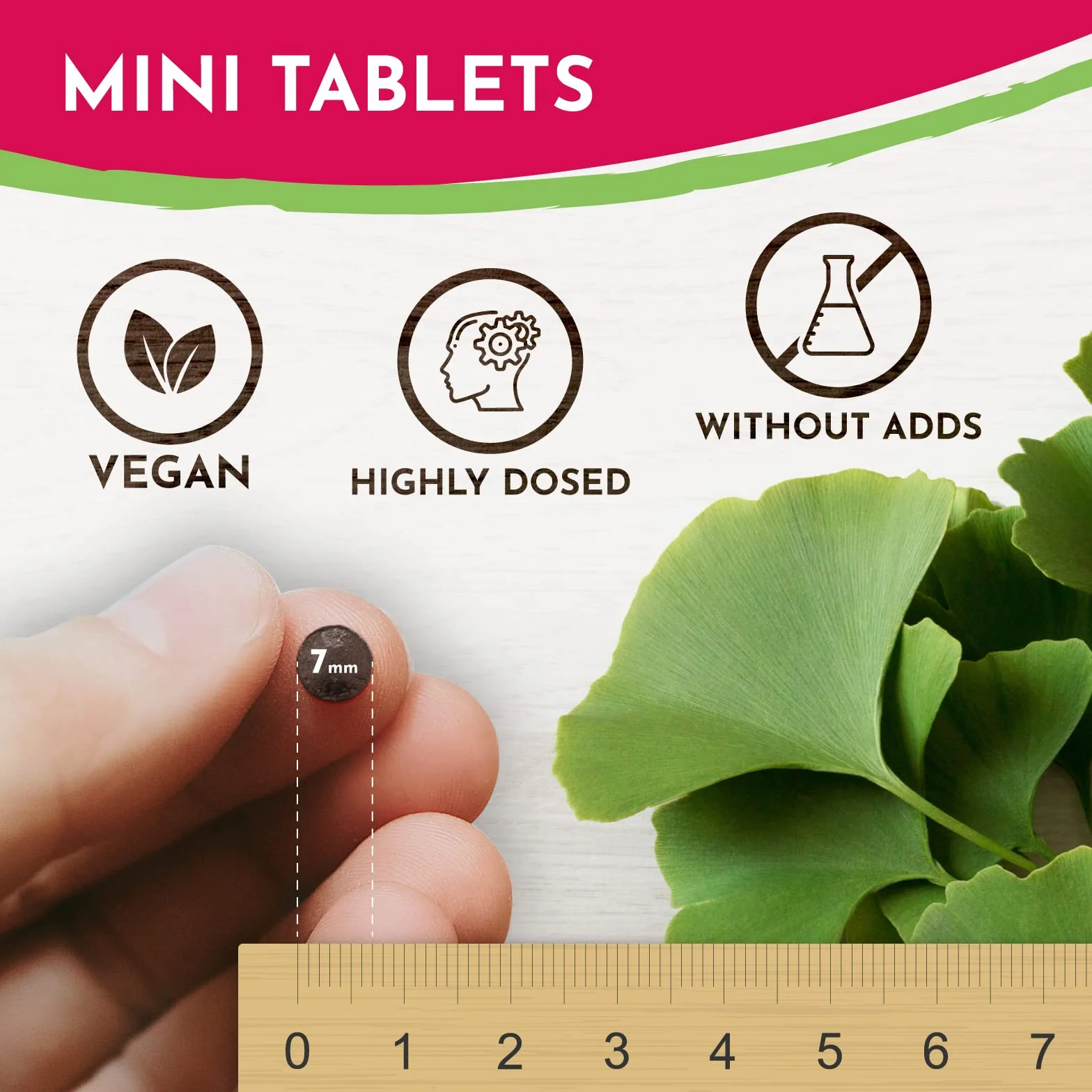 VROODY Ginkgo Biloba estratto vegano ad alto dosaggio 365 compresse vitamina B12