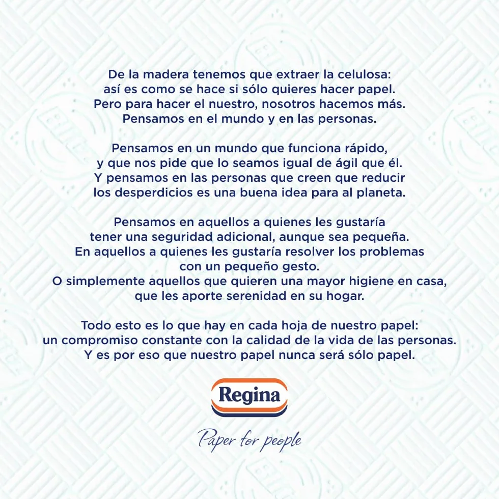 Regina Blitz - Carta da cucina | 5 rotoli | 100 fogli a 3 strati | Ideale per la pulizia delle superfici domestiche | senza pelucchi | Imballaggio in carta riciclabile | Carta 100% certificata FSC