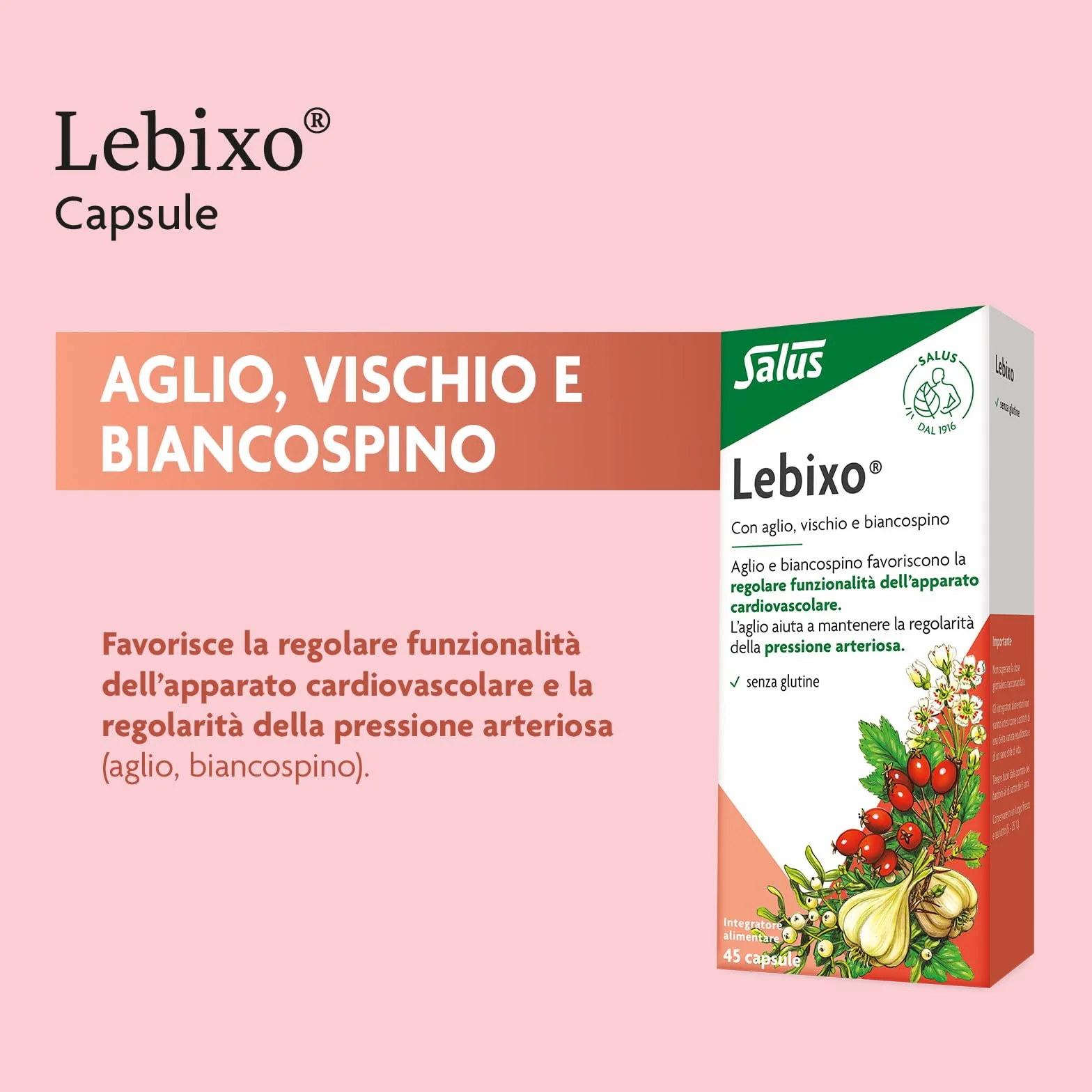 Salus Lebixo - Integratore Alimentare per la regolarità cardiovascolare e della pressione arteriosa, a base di Aglio, Vischio e Biancospino - 45 Capsule
