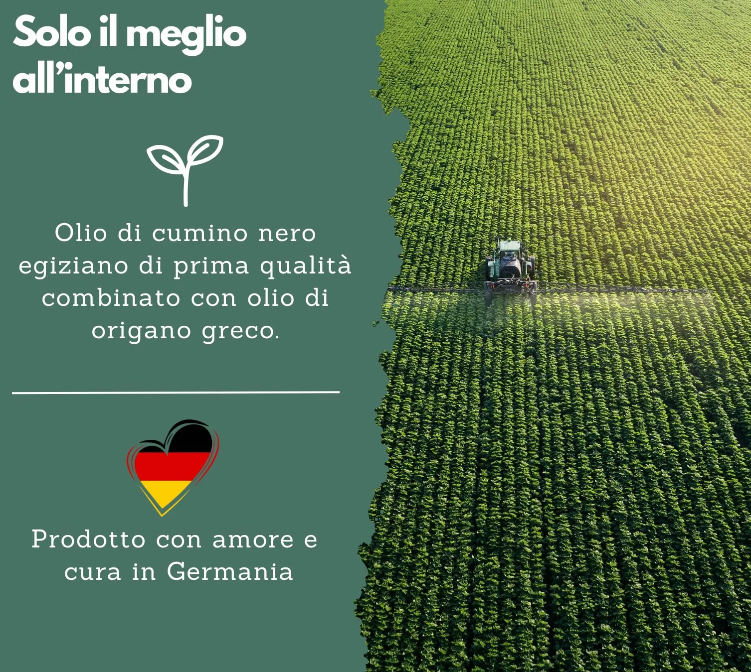 EXVital Complesso olio origano cumino nero 180 capsule vegane 1000 mg carvacrolo 80%