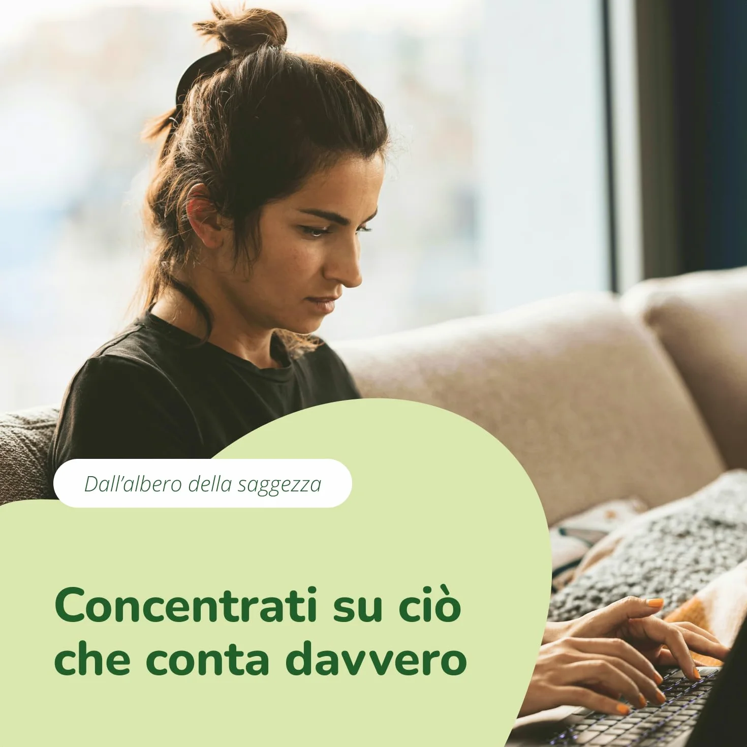 Vegavero® Ginkgo Biloba estratto 50:1 24% Glucosidi Flavonoidi 6% Terpenoidi 180 capsule Vegan