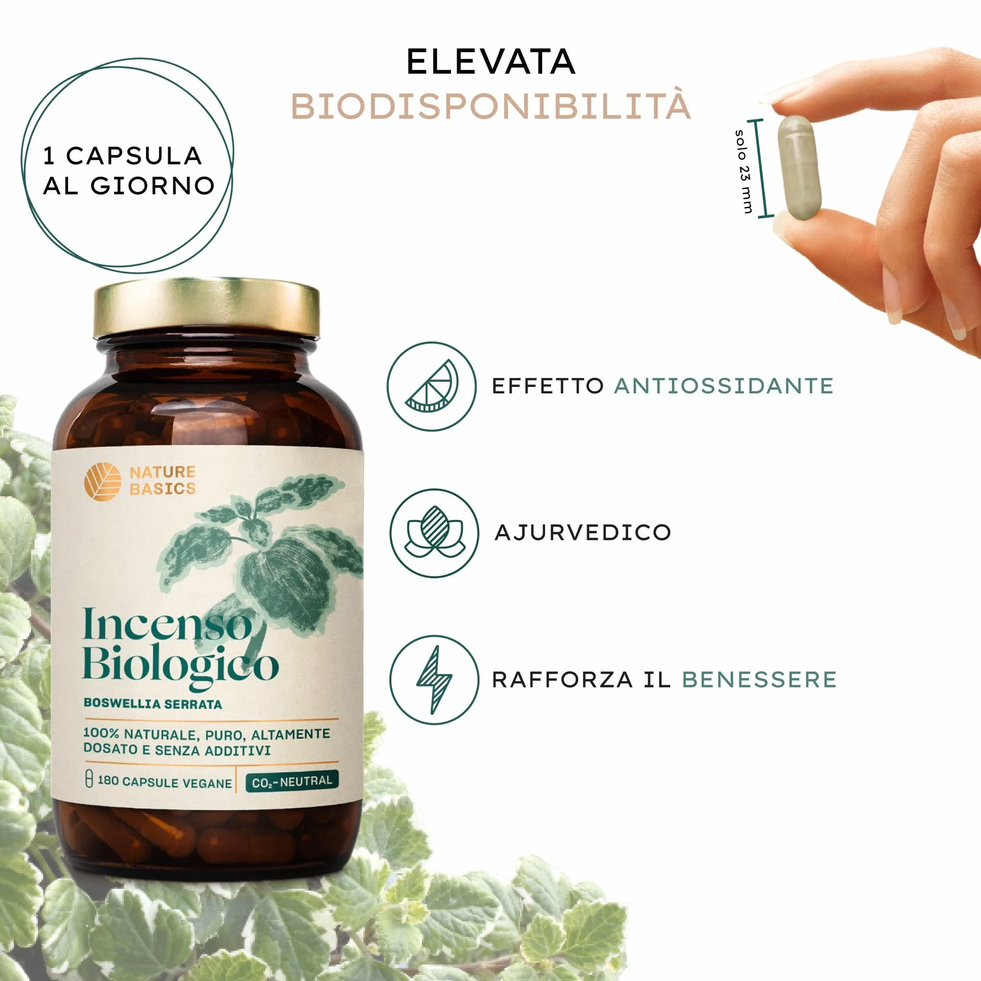 Capsule di incenso biologico - 180 capsule ad alto dosaggio / 500 mg di estratto di incenso biologico per dose giornaliera/Integratore alimentare ayurvedico di alta qualità/Vegano e sostenibile