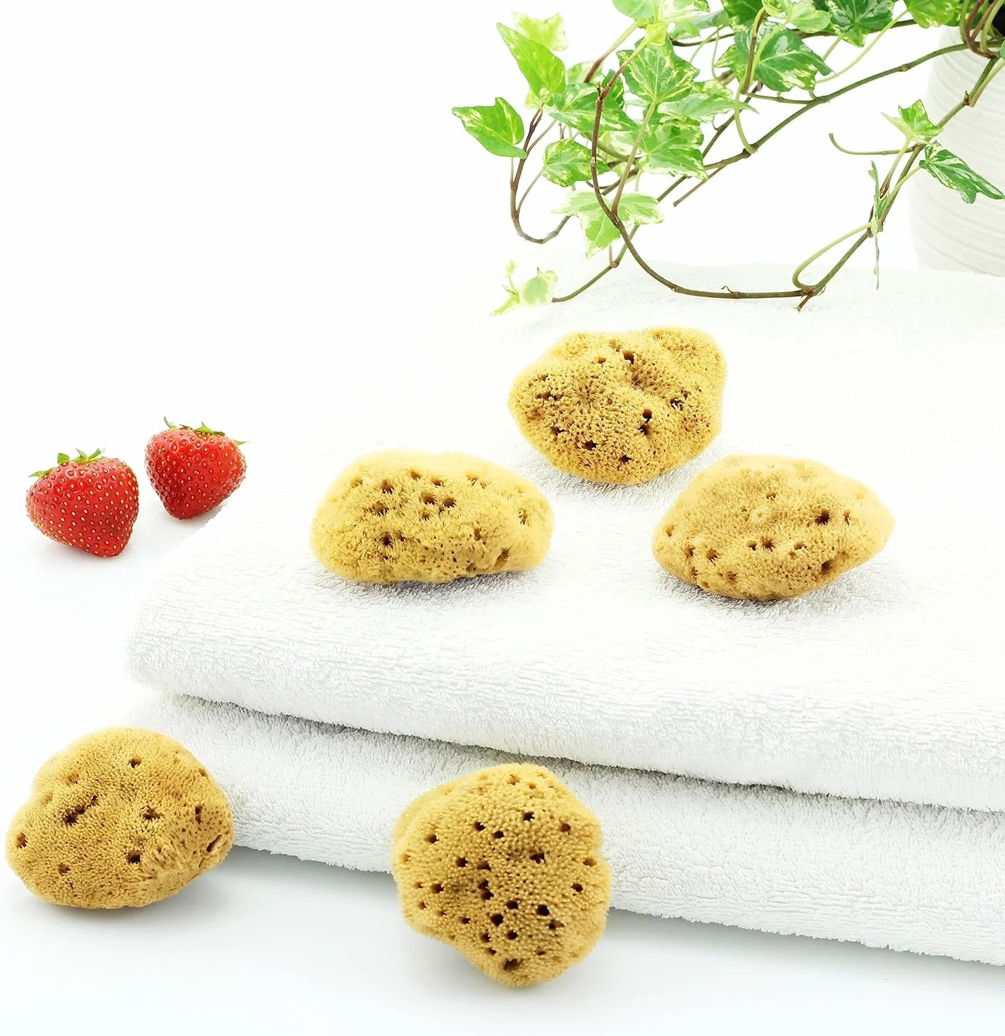 Spugna Naturale del Mediterraneo per il Corpo, Non Sintetica (5 PEZZI - SPUGNA MESTRUALE GRANDE DA 6-7 CM)