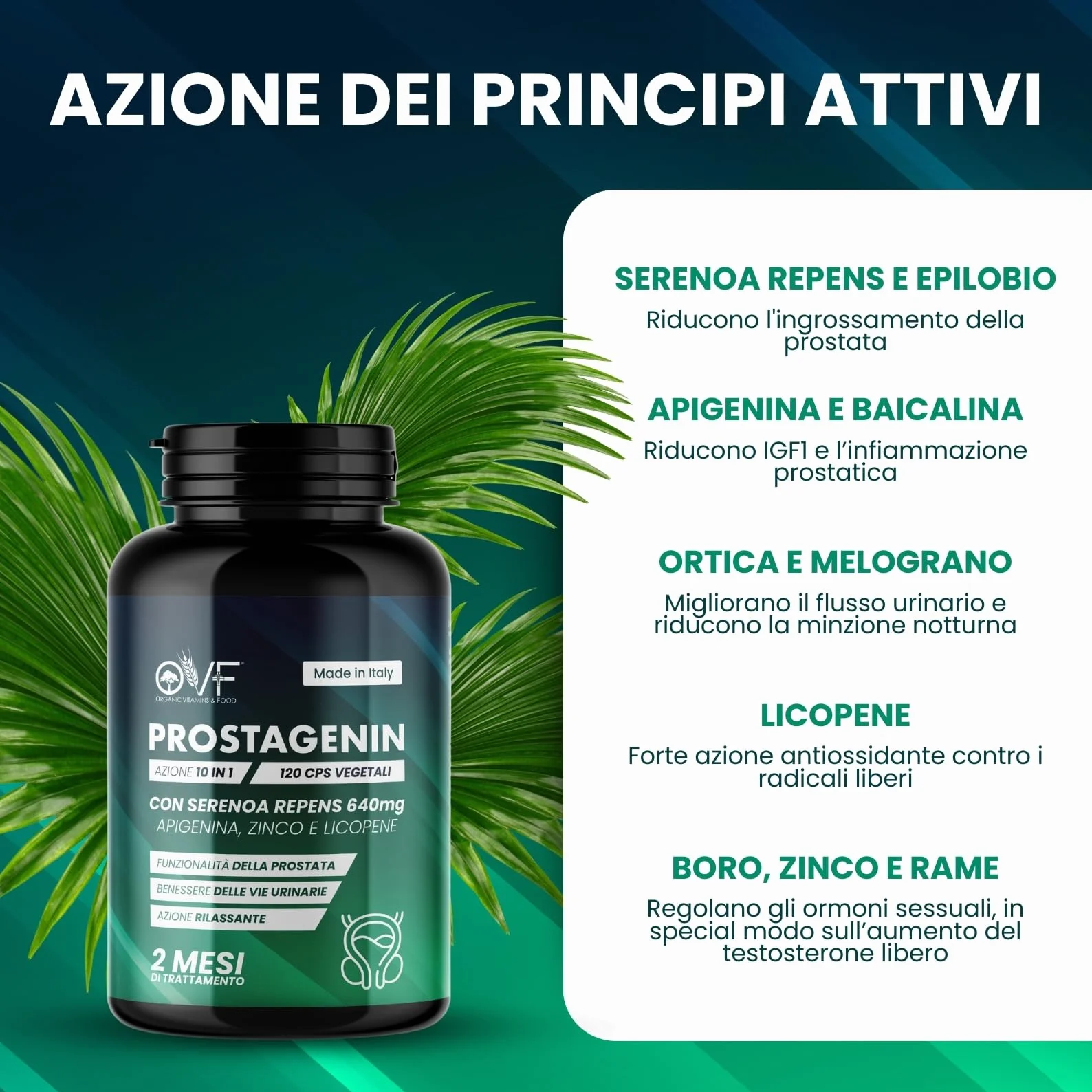 Serenoa Repens 640mg 120 Capsule Formula 4 in 1 con Apigenina, Zinco e Licopene Supporto Prostata